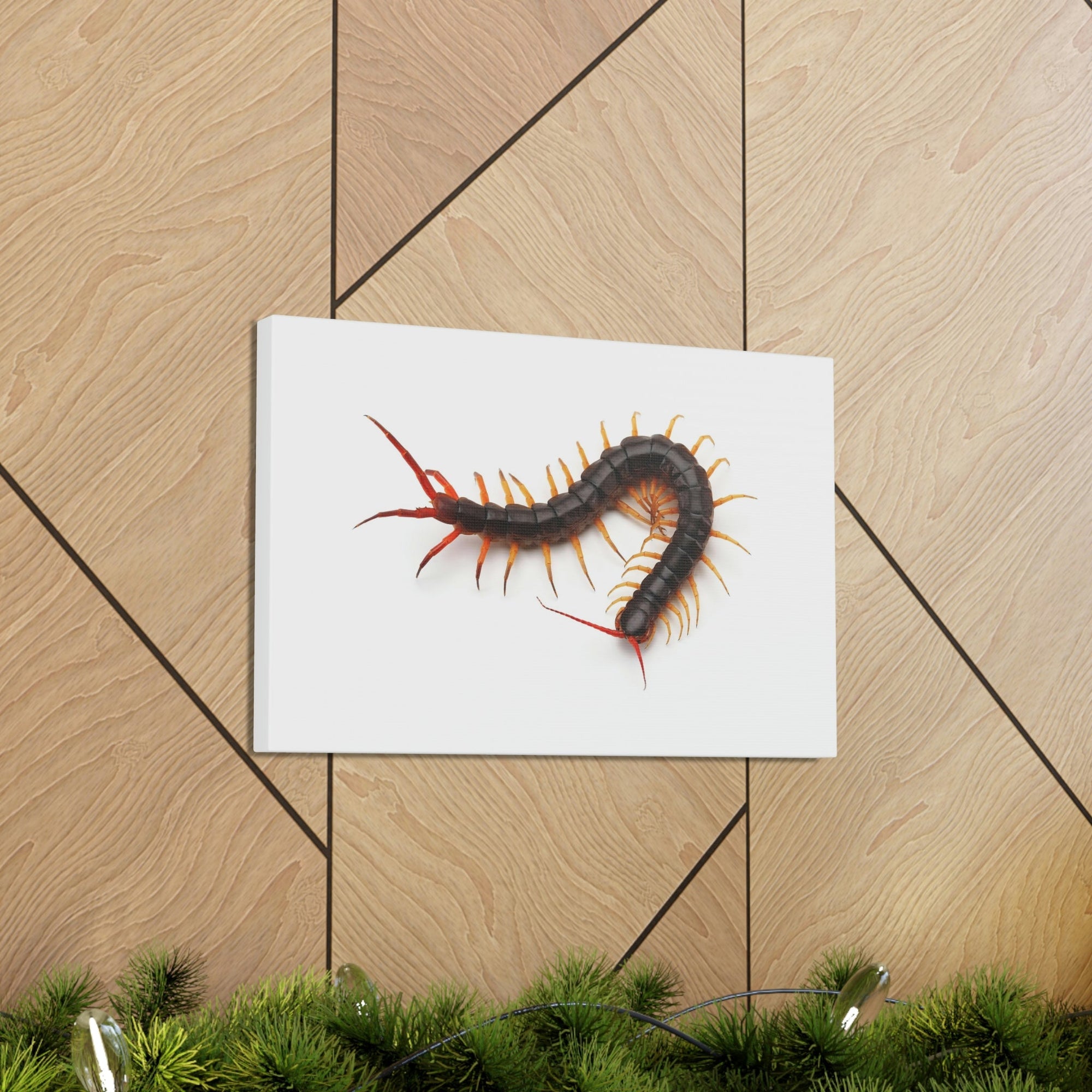 Scripture Walls Centipede Hunting Centipede on Hunt Print Animal Wall Art Wildlife Canvas Prints Wall Art Ready to Hang Unframed-Express Your Love Gifts