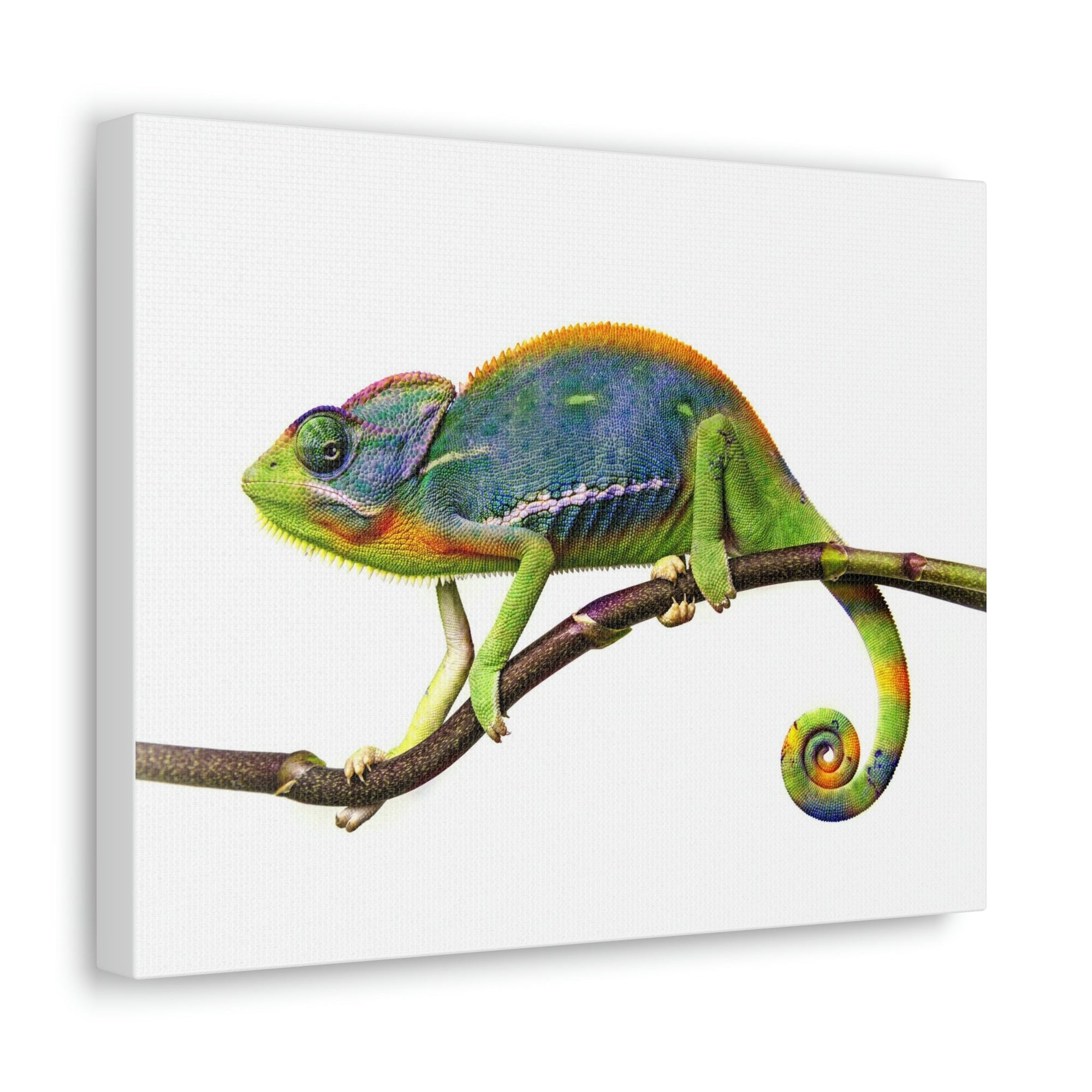 Scripture Walls Chameleon Hunting Chameleon on Hunt Print Animal Wall Art Wildlife Canvas Prints Wall Art Ready to Hang Unframed-Express Your Love Gifts