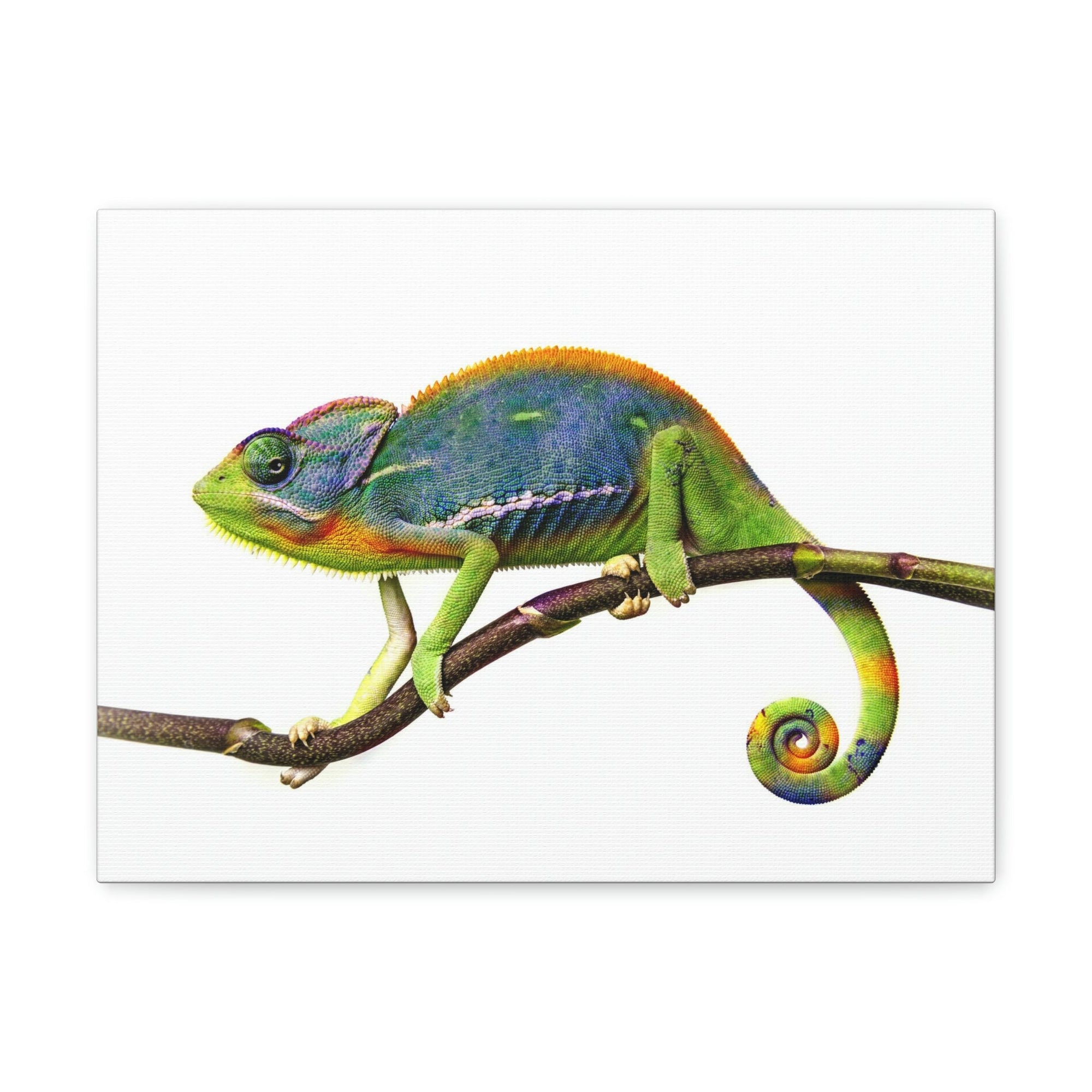 Scripture Walls Chameleon Hunting Chameleon on Hunt Print Animal Wall Art Wildlife Canvas Prints Wall Art Ready to Hang Unframed-Express Your Love Gifts