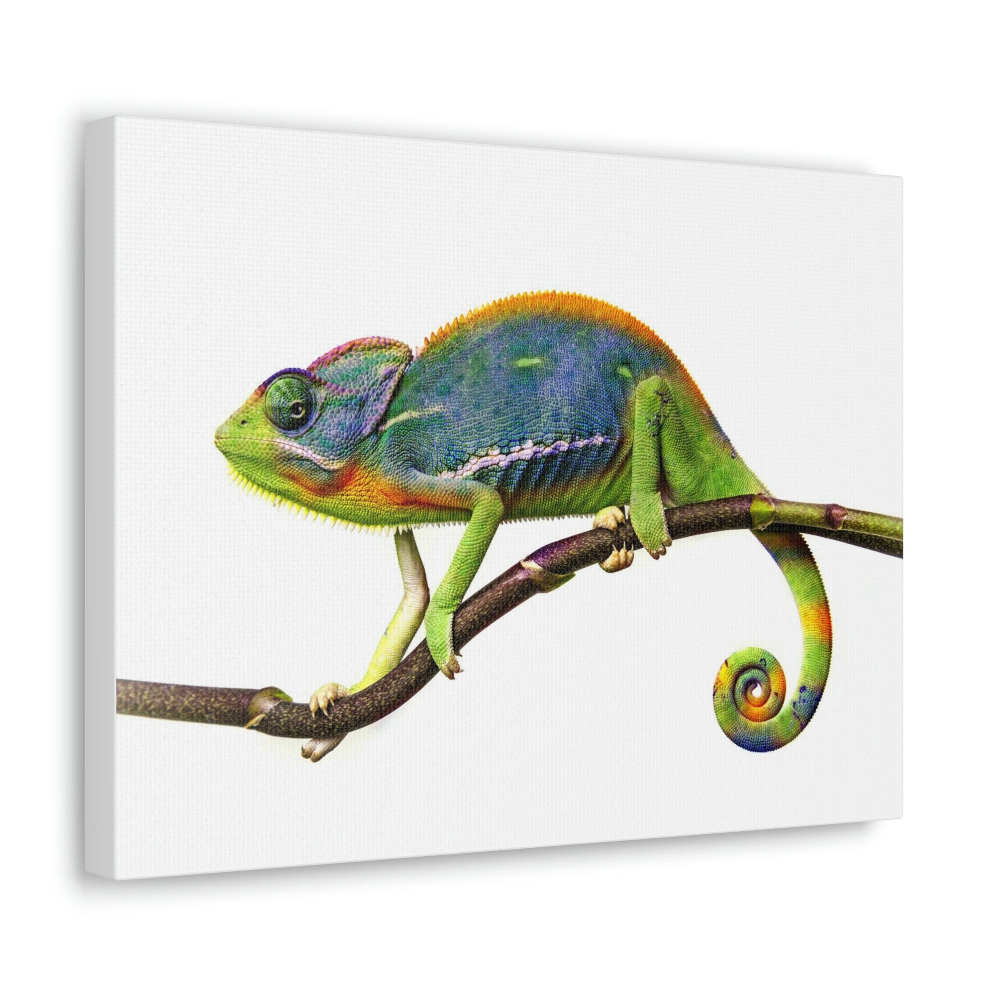 Scripture Walls Chameleon Hunting Chameleon on Hunt Print Animal Wall Art Wildlife Canvas Prints Wall Art Ready to Hang Unframed-Express Your Love Gifts