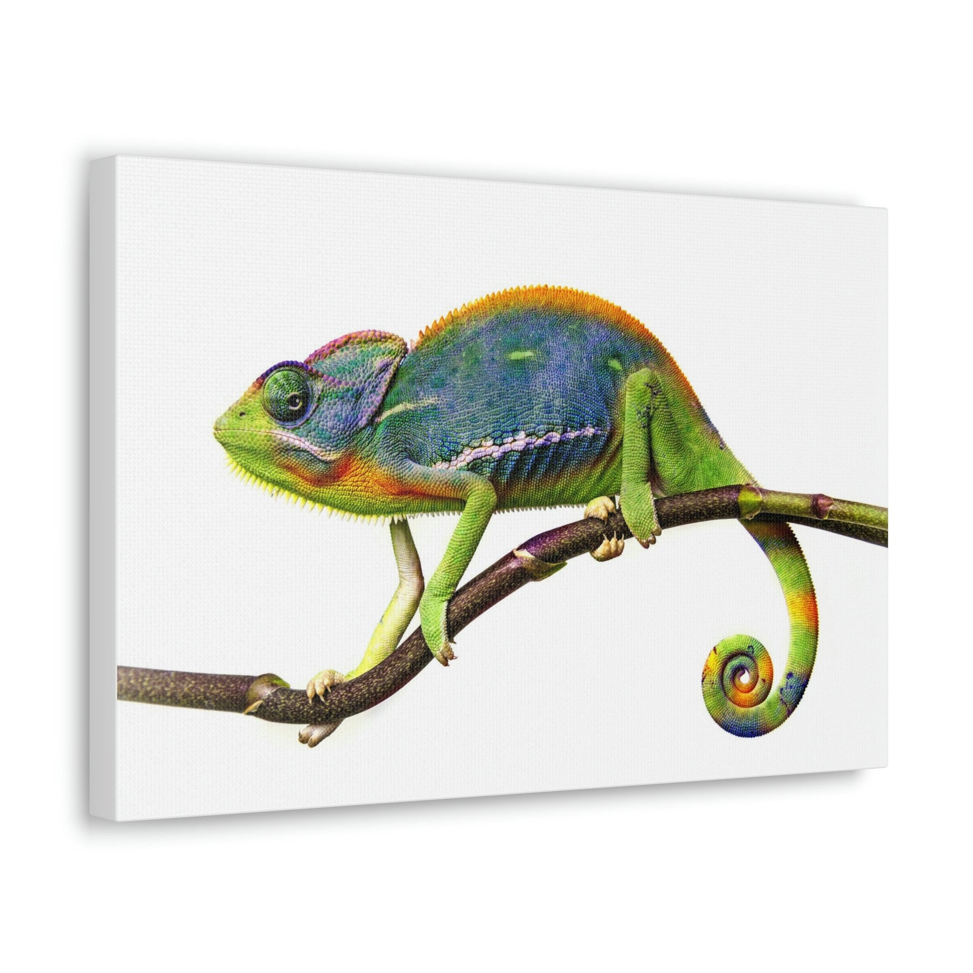 Scripture Walls Chameleon Hunting Chameleon on Hunt Print Animal Wall Art Wildlife Canvas Prints Wall Art Ready to Hang Unframed-Express Your Love Gifts