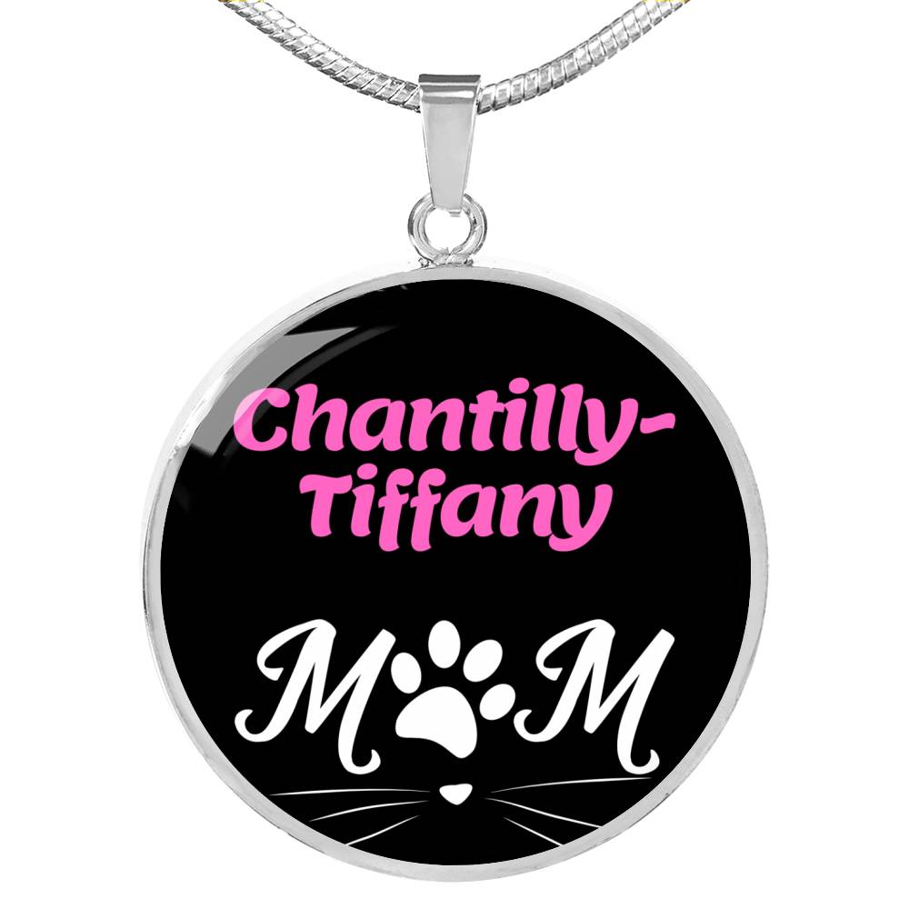 Chantillytiffany Cat Mom Necklace Circle Pendant Stainless Steel or 18k Gold 18-22"-Express Your Love Gifts