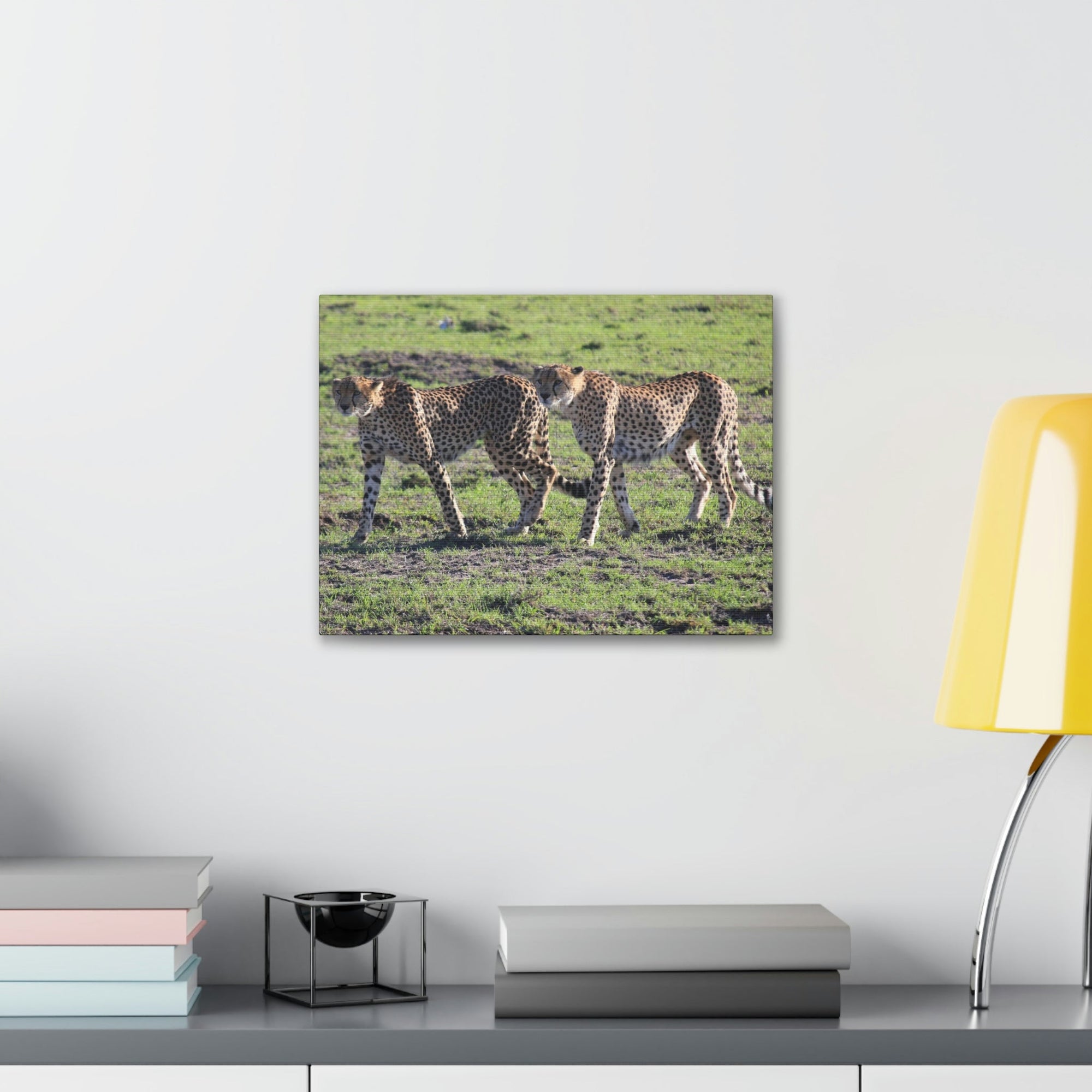 Scripture Walls Cheetah Couple Cheetah Troop Print Animal Wall Art Wildlife Canvas Prints Wall Art Ready to Hang Unframed-Express Your Love Gifts