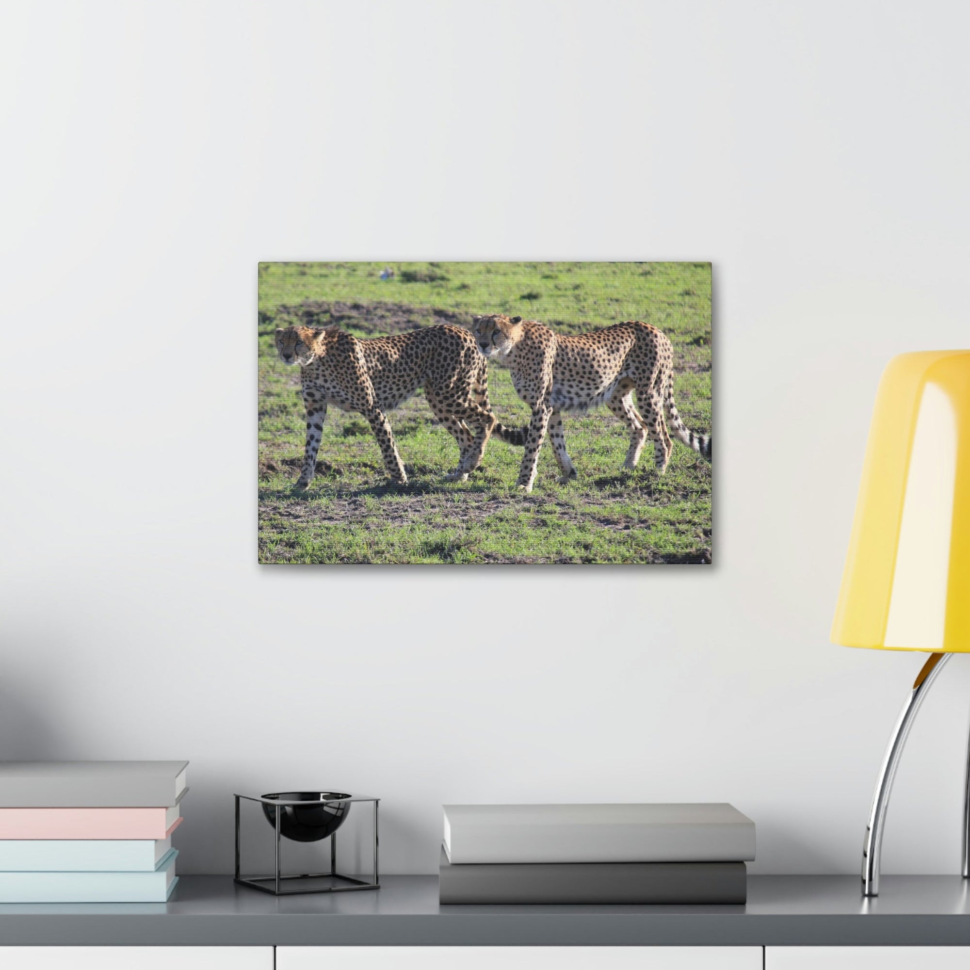 Scripture Walls Cheetah Couple Cheetah Troop Print Animal Wall Art Wildlife Canvas Prints Wall Art Ready to Hang Unframed-Express Your Love Gifts