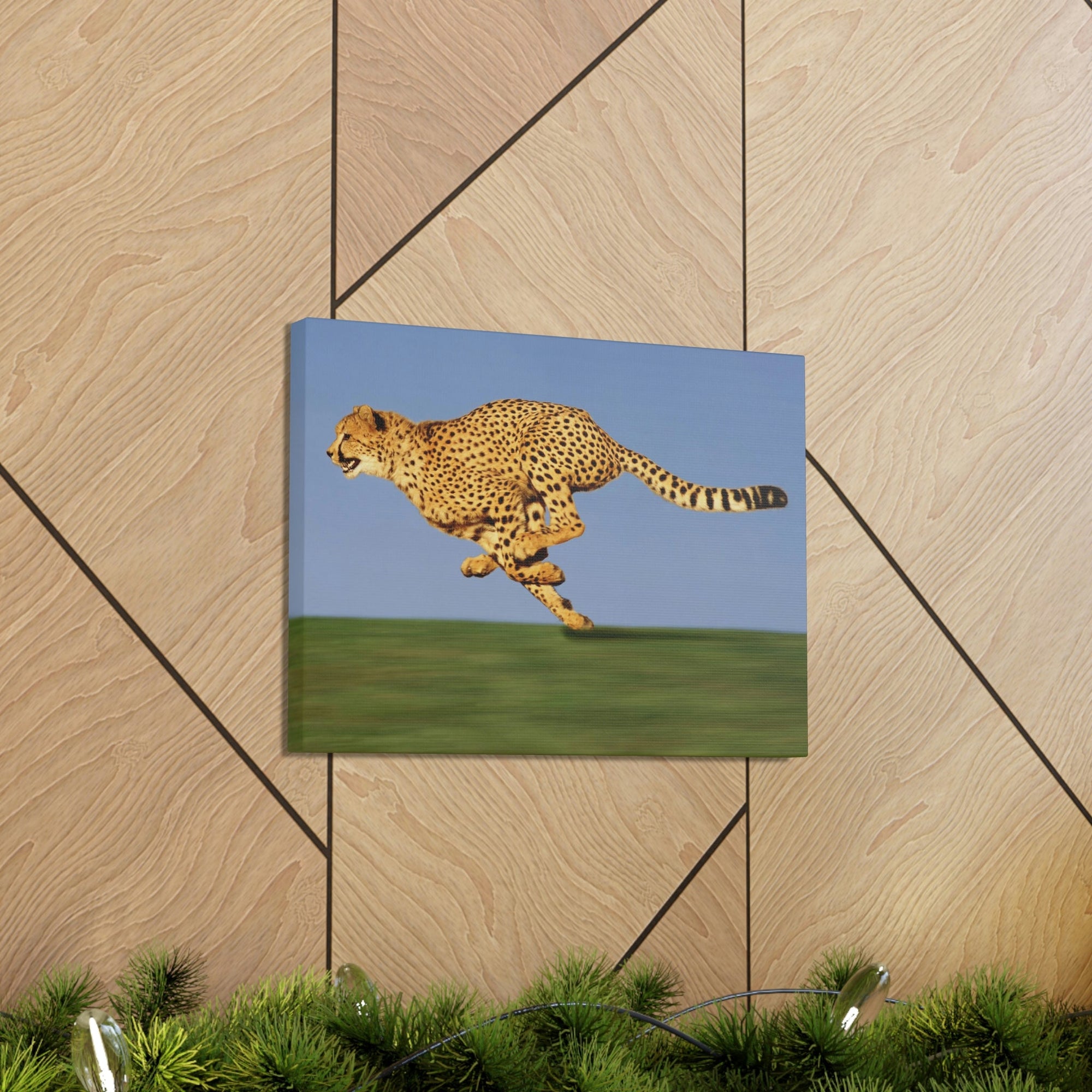 Scripture Walls Cheetah Hunting Cheetah on Hunt Print Animal Wall Art Wildlife Canvas Prints Wall Art Ready to Hang Unframed-Express Your Love Gifts