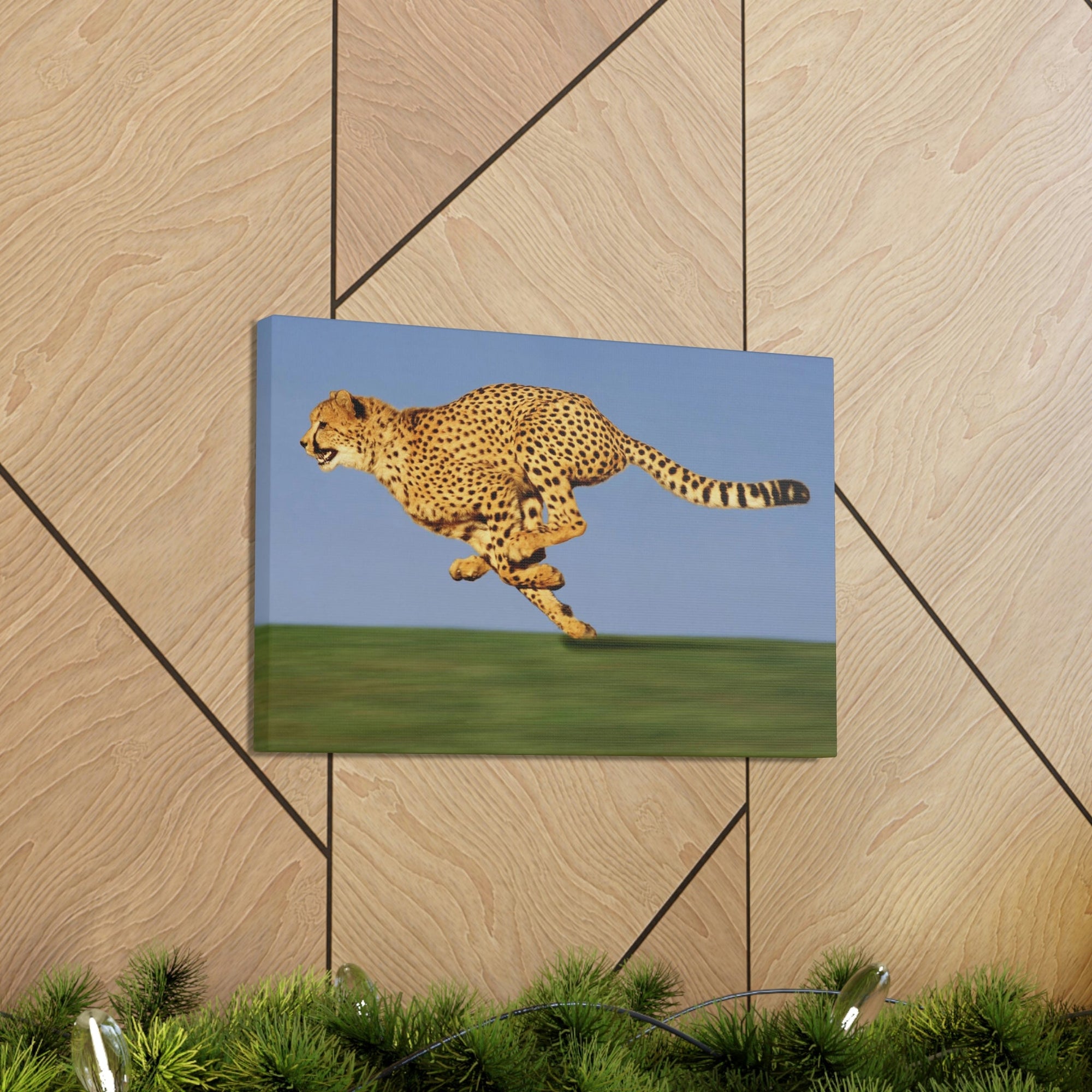 Scripture Walls Cheetah Hunting Cheetah on Hunt Print Animal Wall Art Wildlife Canvas Prints Wall Art Ready to Hang Unframed-Express Your Love Gifts