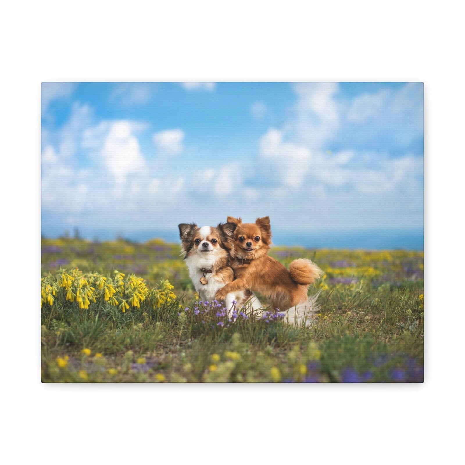 Scripture Walls Chihuahua Couple Chihuahua Troop Print Animal Wall Art Wildlife Canvas Prints Wall Art Ready to Hang Unframed-Express Your Love Gifts