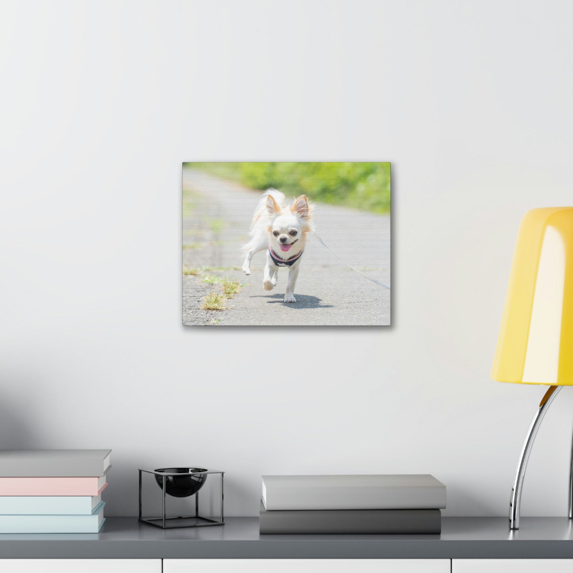 Scripture Walls Chihuahua Hunting Chihuahua on Hunt Print Animal Wall Art Wildlife Canvas Prints Wall Art Ready to Hang Unframed-Express Your Love Gifts