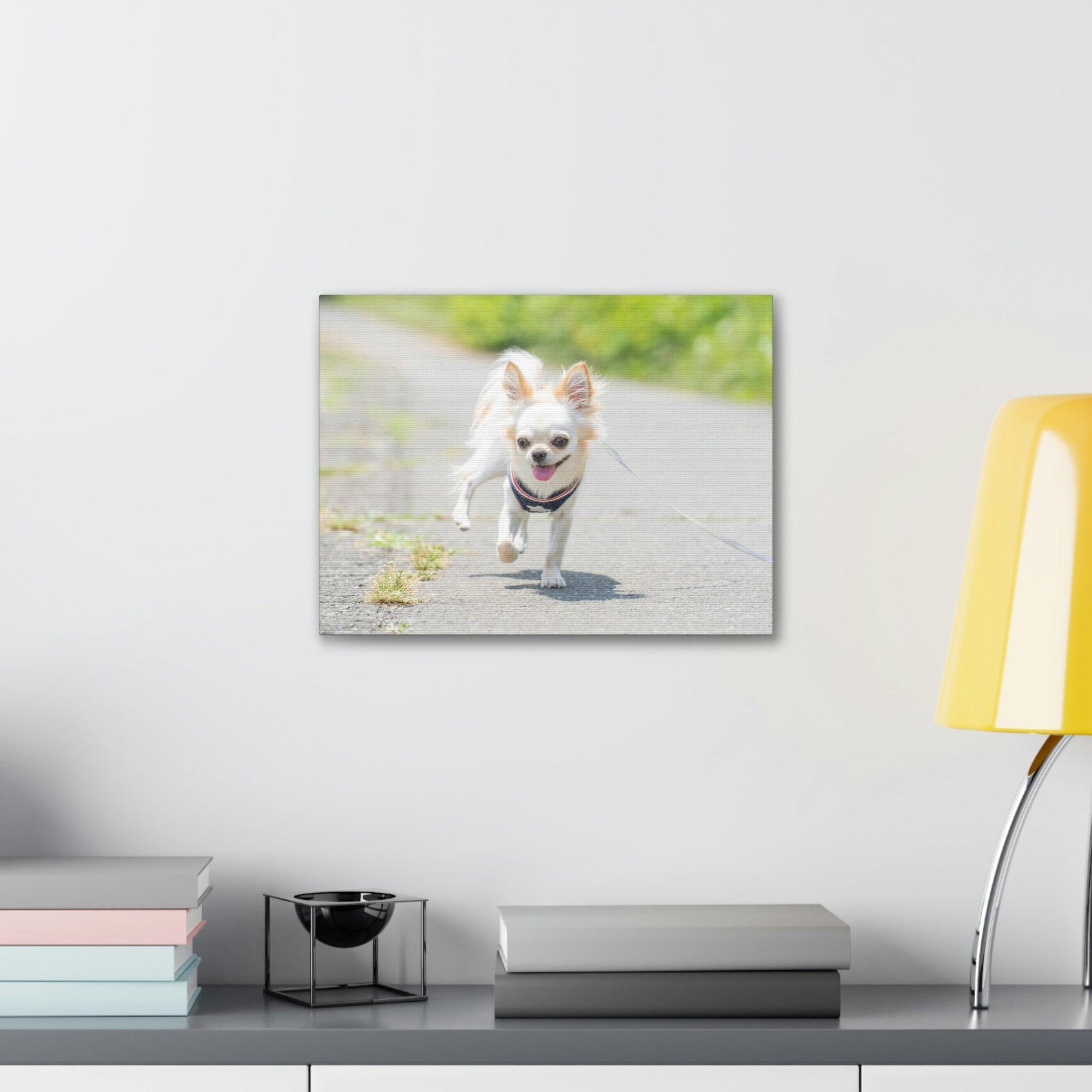 Scripture Walls Chihuahua Hunting Chihuahua on Hunt Print Animal Wall Art Wildlife Canvas Prints Wall Art Ready to Hang Unframed-Express Your Love Gifts