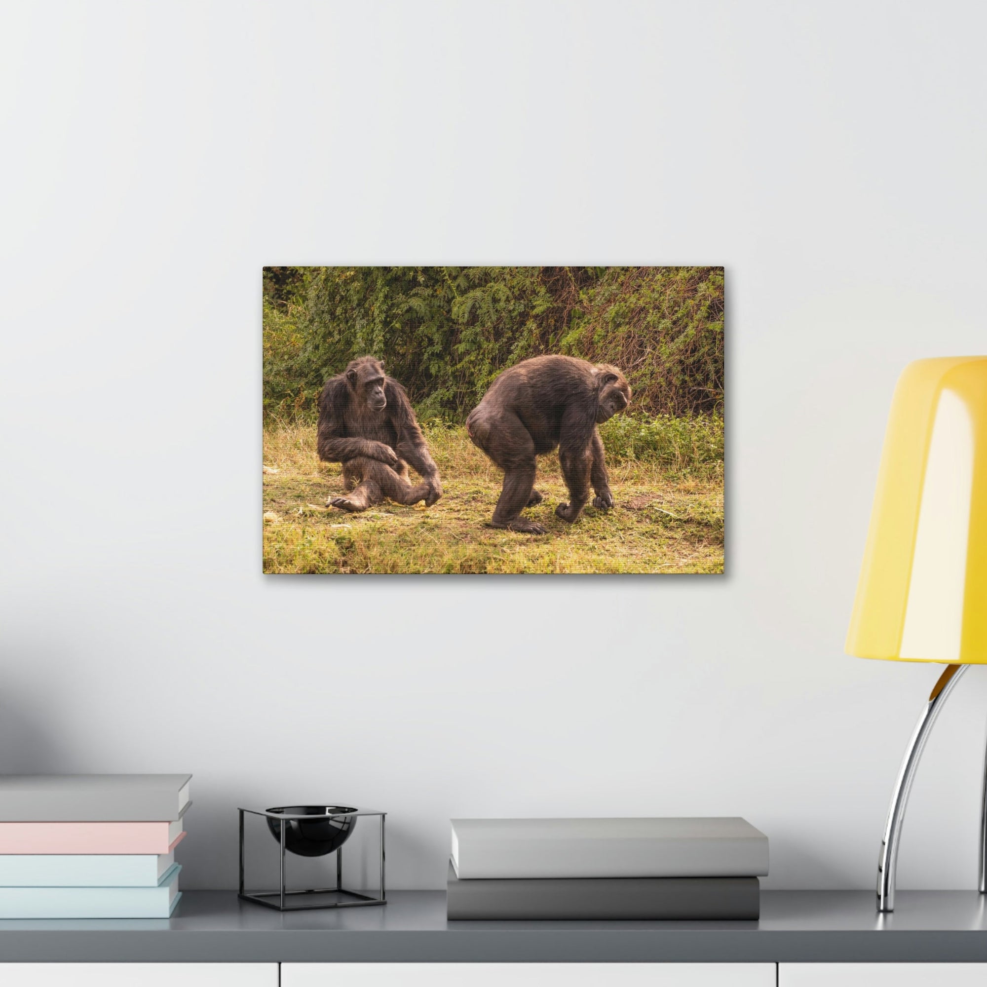 Scripture Walls Chimpanzee Couple Chimpanzee Troop Print Animal Wall Art Wildlife Canvas Prints Wall Art Ready to Hang Unframed-Express Your Love Gifts