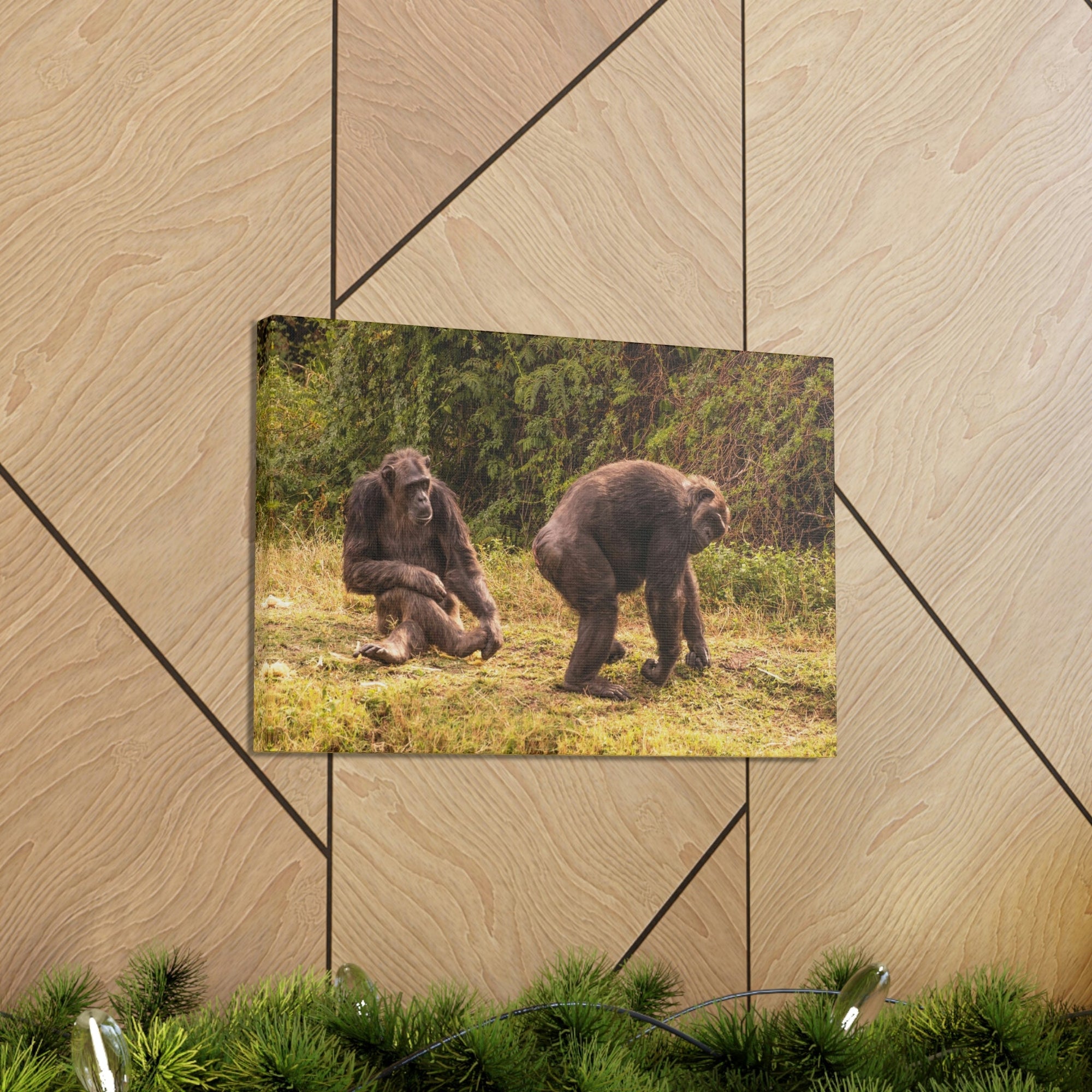 Scripture Walls Chimpanzee Couple Chimpanzee Troop Print Animal Wall Art Wildlife Canvas Prints Wall Art Ready to Hang Unframed-Express Your Love Gifts