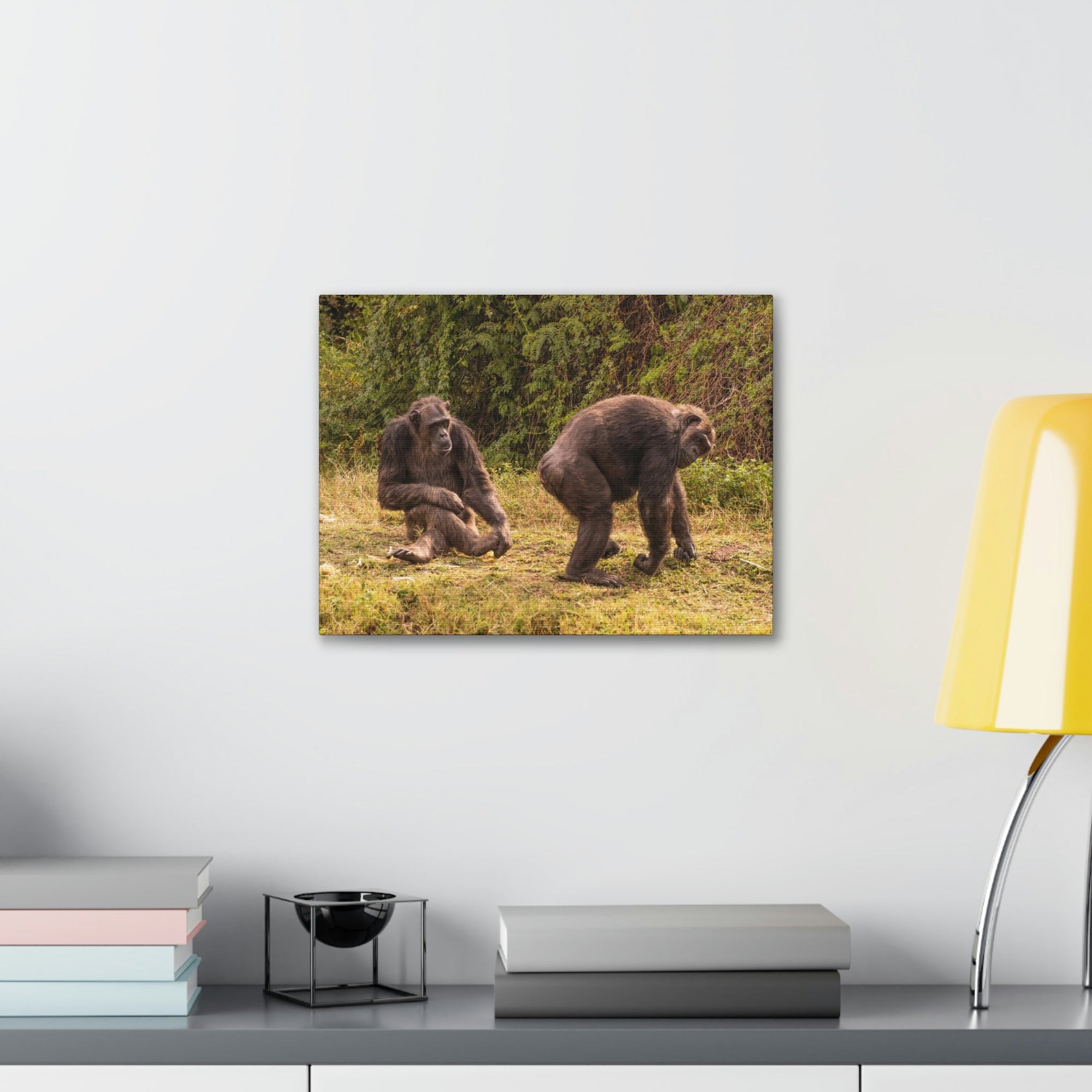 Scripture Walls Chimpanzee Couple Chimpanzee Troop Print Animal Wall Art Wildlife Canvas Prints Wall Art Ready to Hang Unframed-Express Your Love Gifts