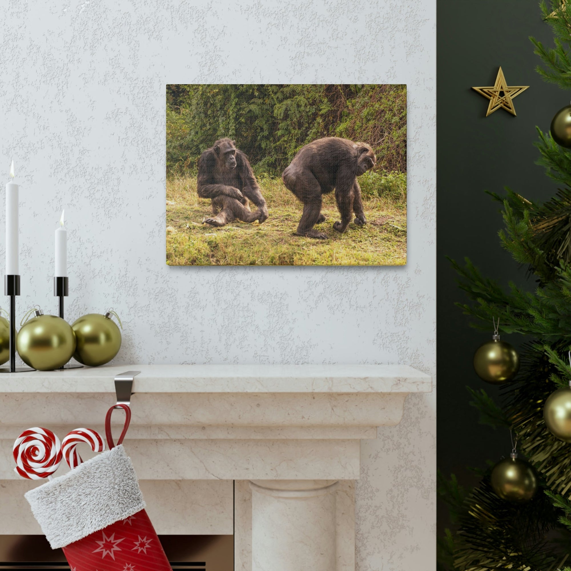 Scripture Walls Chimpanzee Couple Chimpanzee Troop Print Animal Wall Art Wildlife Canvas Prints Wall Art Ready to Hang Unframed-Express Your Love Gifts