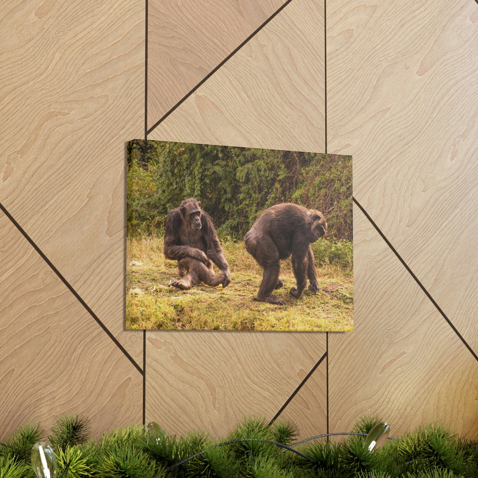 Scripture Walls Chimpanzee Couple Chimpanzee Troop Print Animal Wall Art Wildlife Canvas Prints Wall Art Ready to Hang Unframed-Express Your Love Gifts