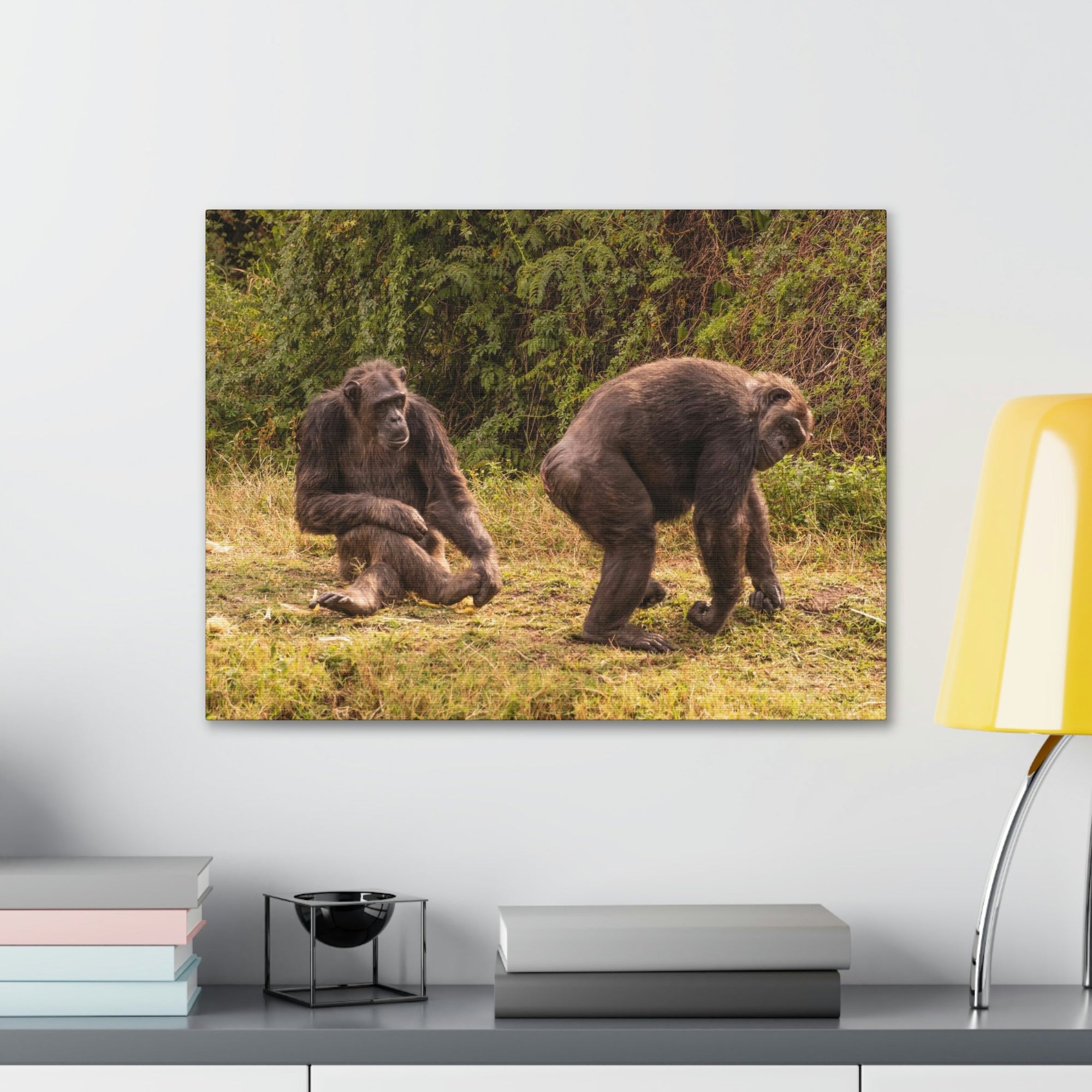 Scripture Walls Chimpanzee Couple Chimpanzee Troop Print Animal Wall Art Wildlife Canvas Prints Wall Art Ready to Hang Unframed-Express Your Love Gifts