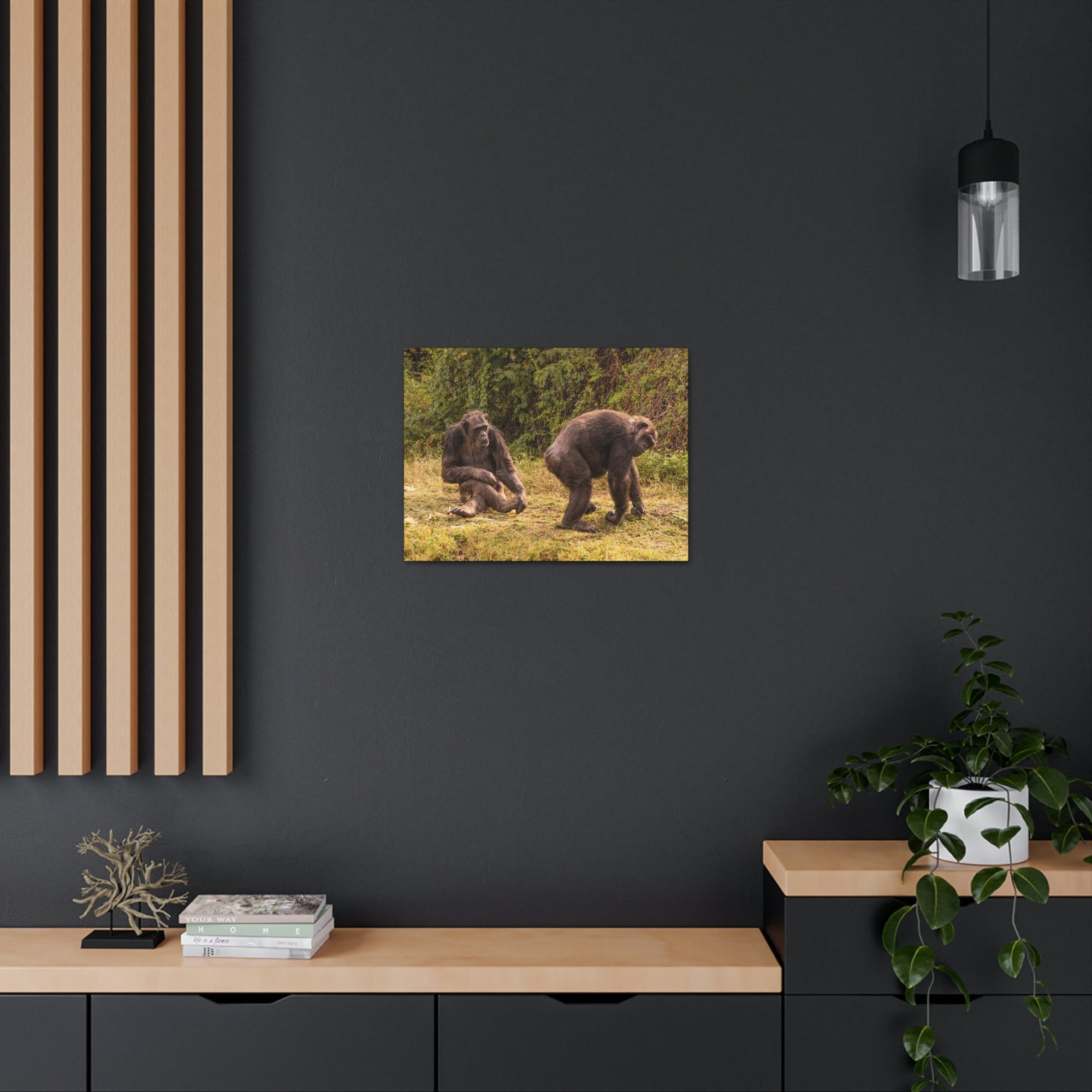 Scripture Walls Chimpanzee Couple Chimpanzee Troop Print Animal Wall Art Wildlife Canvas Prints Wall Art Ready to Hang Unframed-Express Your Love Gifts