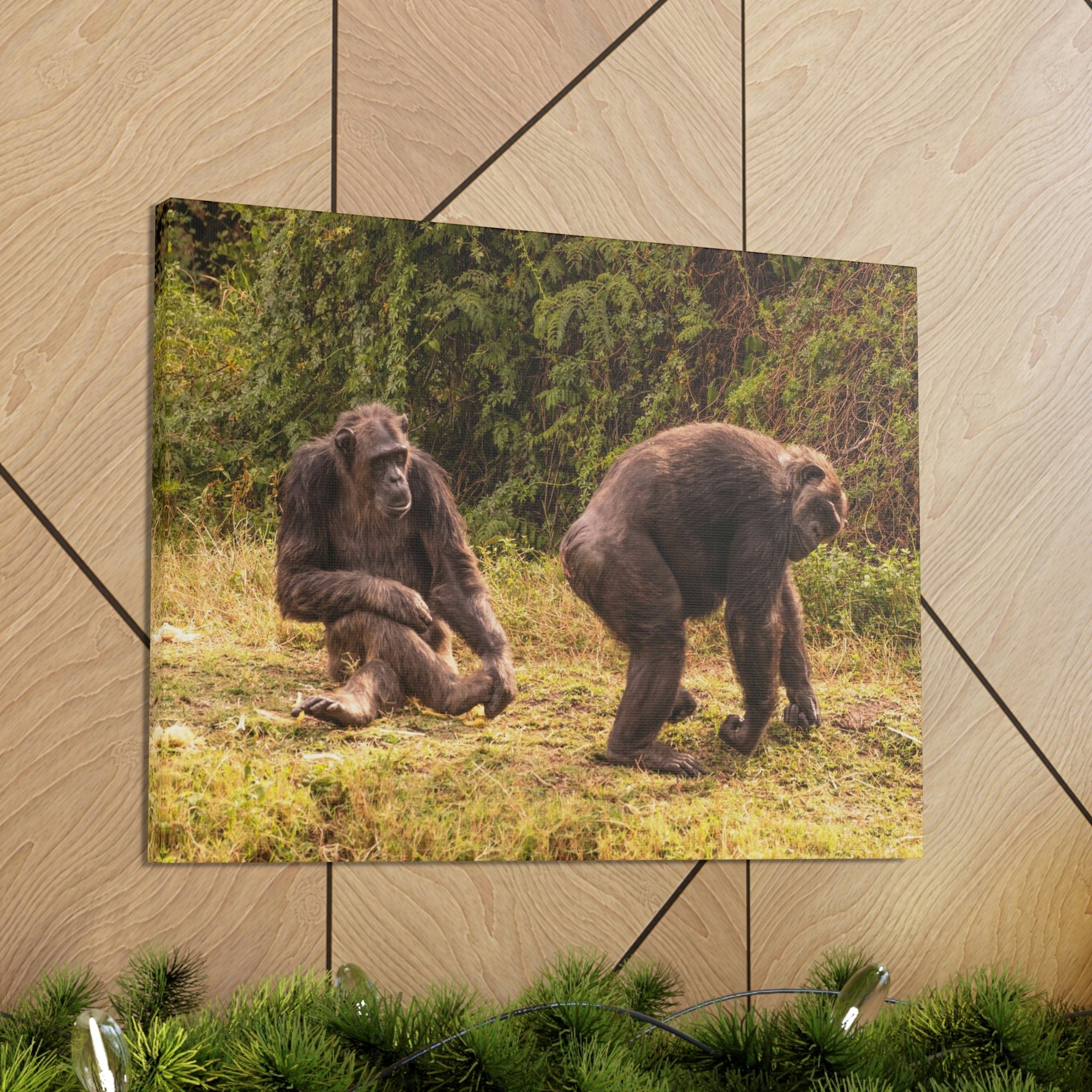 Scripture Walls Chimpanzee Couple Chimpanzee Troop Print Animal Wall Art Wildlife Canvas Prints Wall Art Ready to Hang Unframed-Express Your Love Gifts