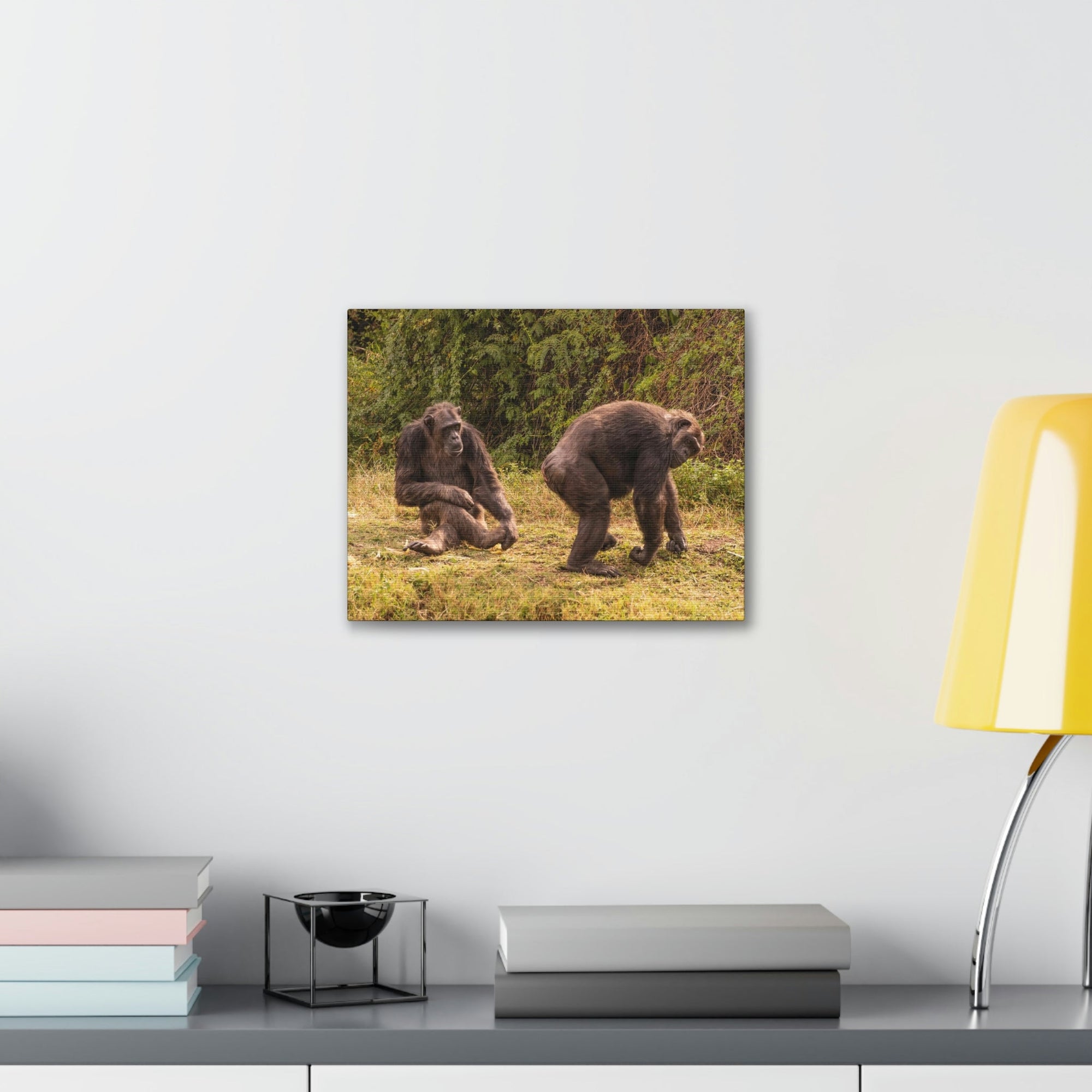 Scripture Walls Chimpanzee Couple Chimpanzee Troop Print Animal Wall Art Wildlife Canvas Prints Wall Art Ready to Hang Unframed-Express Your Love Gifts