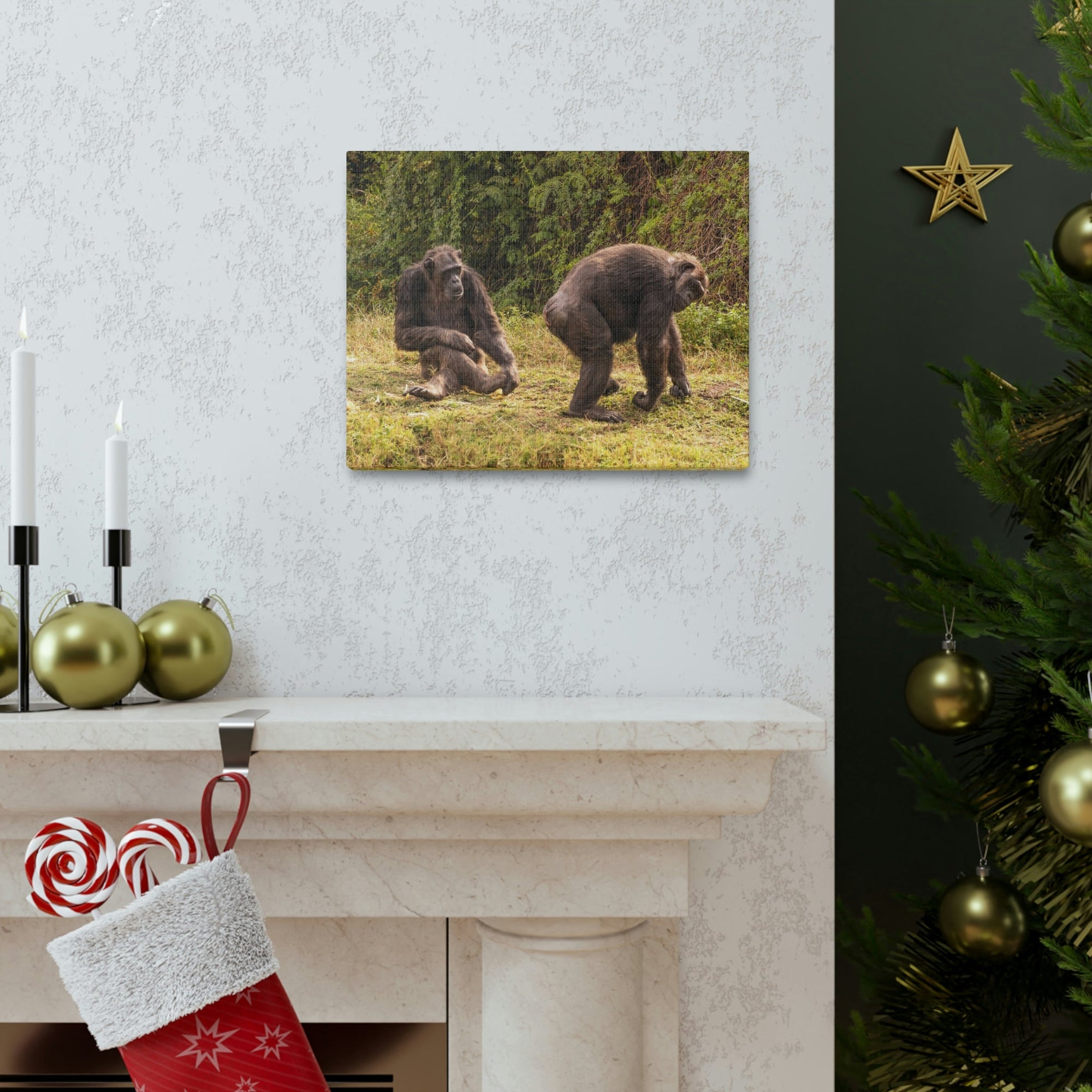 Scripture Walls Chimpanzee Couple Chimpanzee Troop Print Animal Wall Art Wildlife Canvas Prints Wall Art Ready to Hang Unframed-Express Your Love Gifts