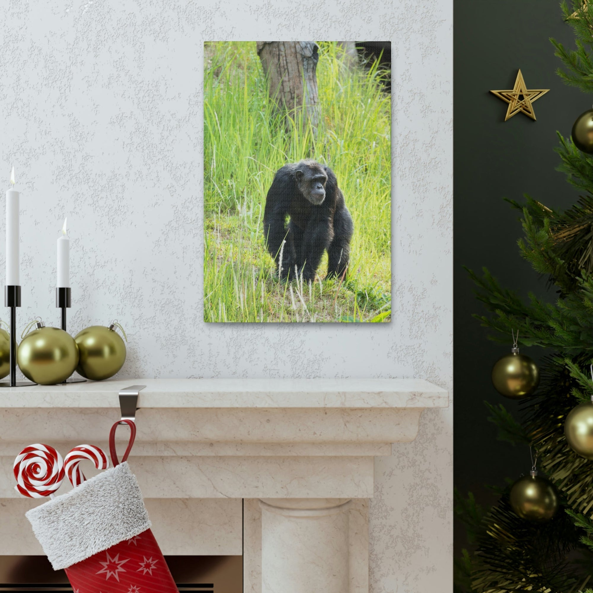 Scripture Walls Chimpanzee Hunting Chimpanzee on Hunt Print Animal Wall Art Wildlife Canvas Prints Wall Art Ready to Hang Unframed-Express Your Love Gifts