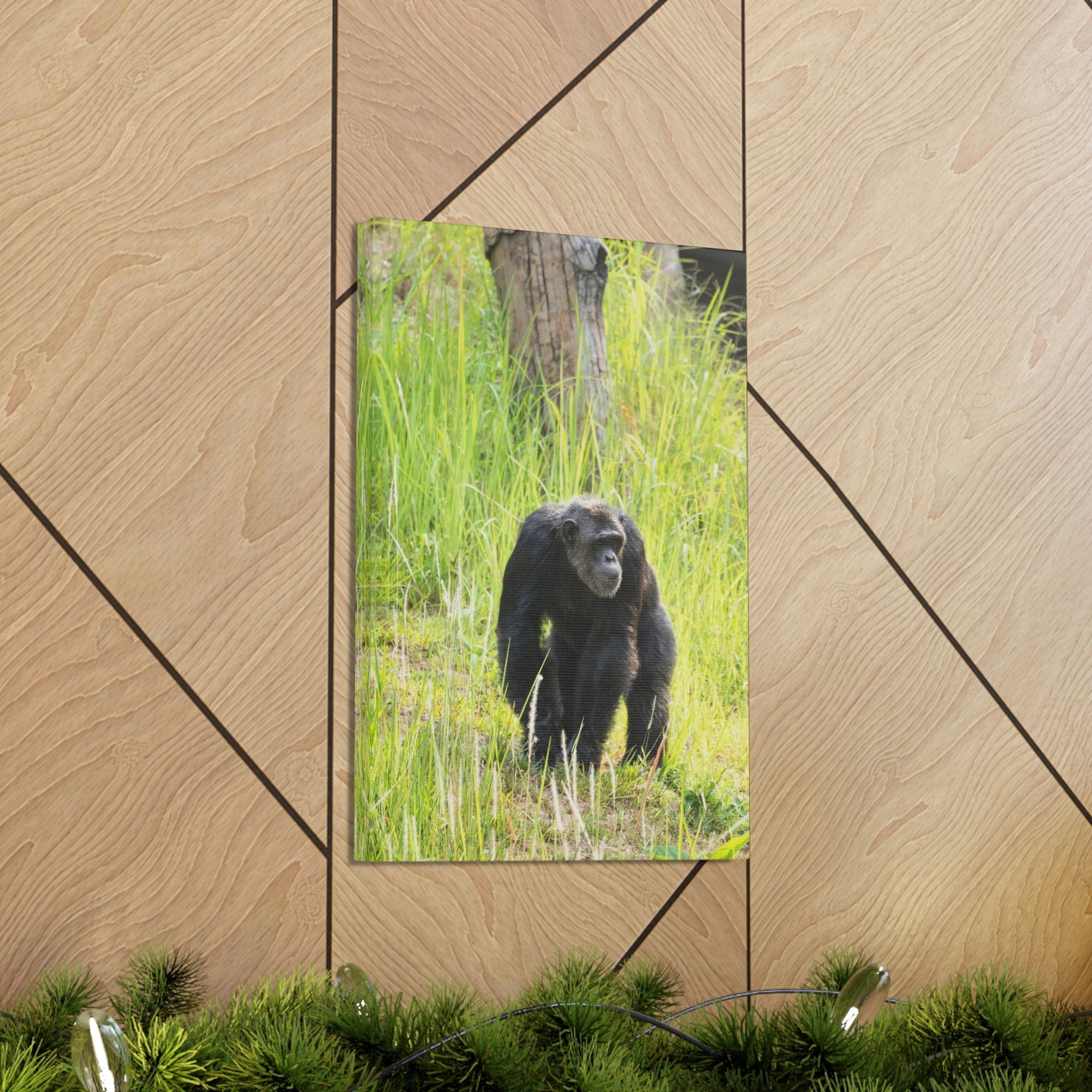 Scripture Walls Chimpanzee Hunting Chimpanzee on Hunt Print Animal Wall Art Wildlife Canvas Prints Wall Art Ready to Hang Unframed-Express Your Love Gifts