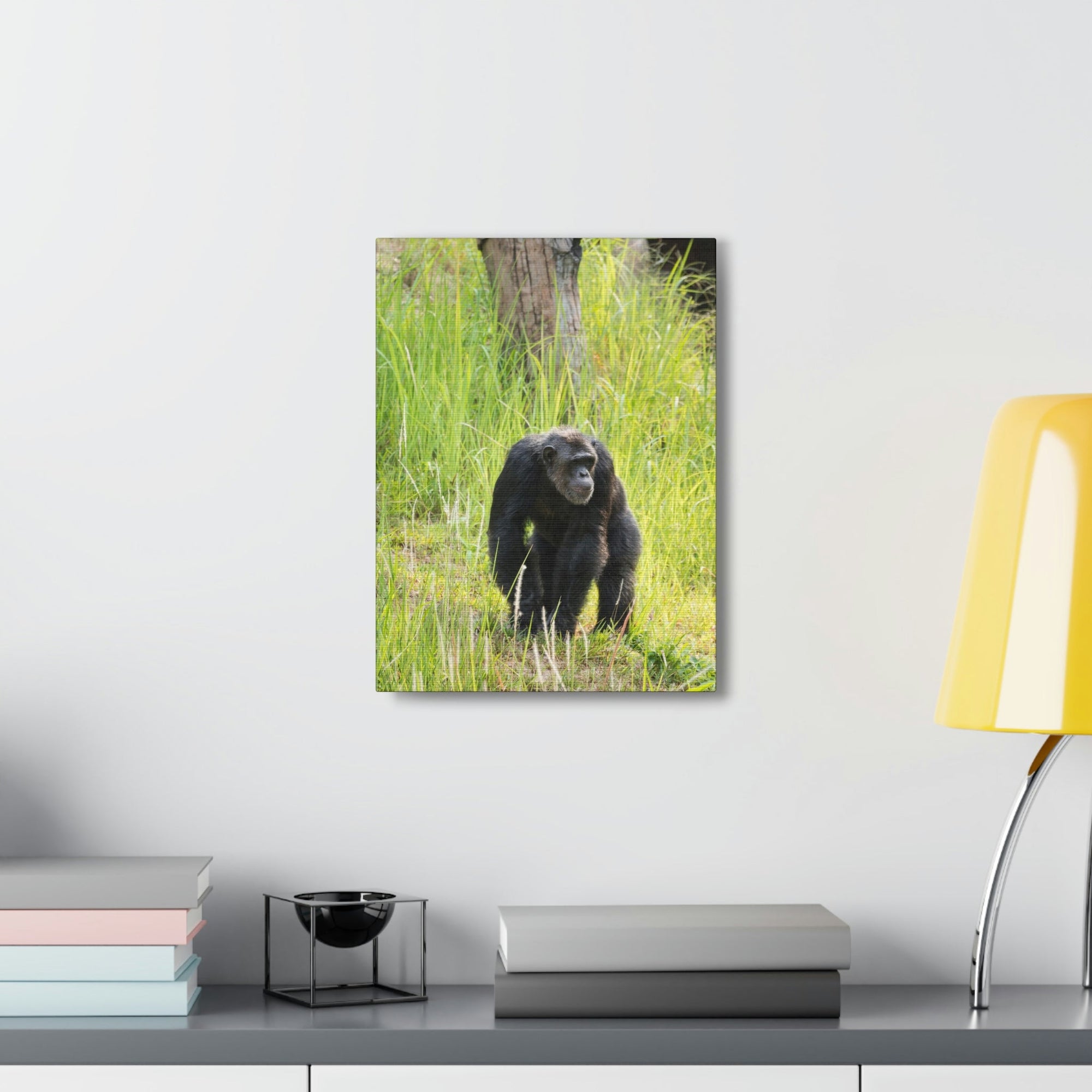 Scripture Walls Chimpanzee Hunting Chimpanzee on Hunt Print Animal Wall Art Wildlife Canvas Prints Wall Art Ready to Hang Unframed-Express Your Love Gifts