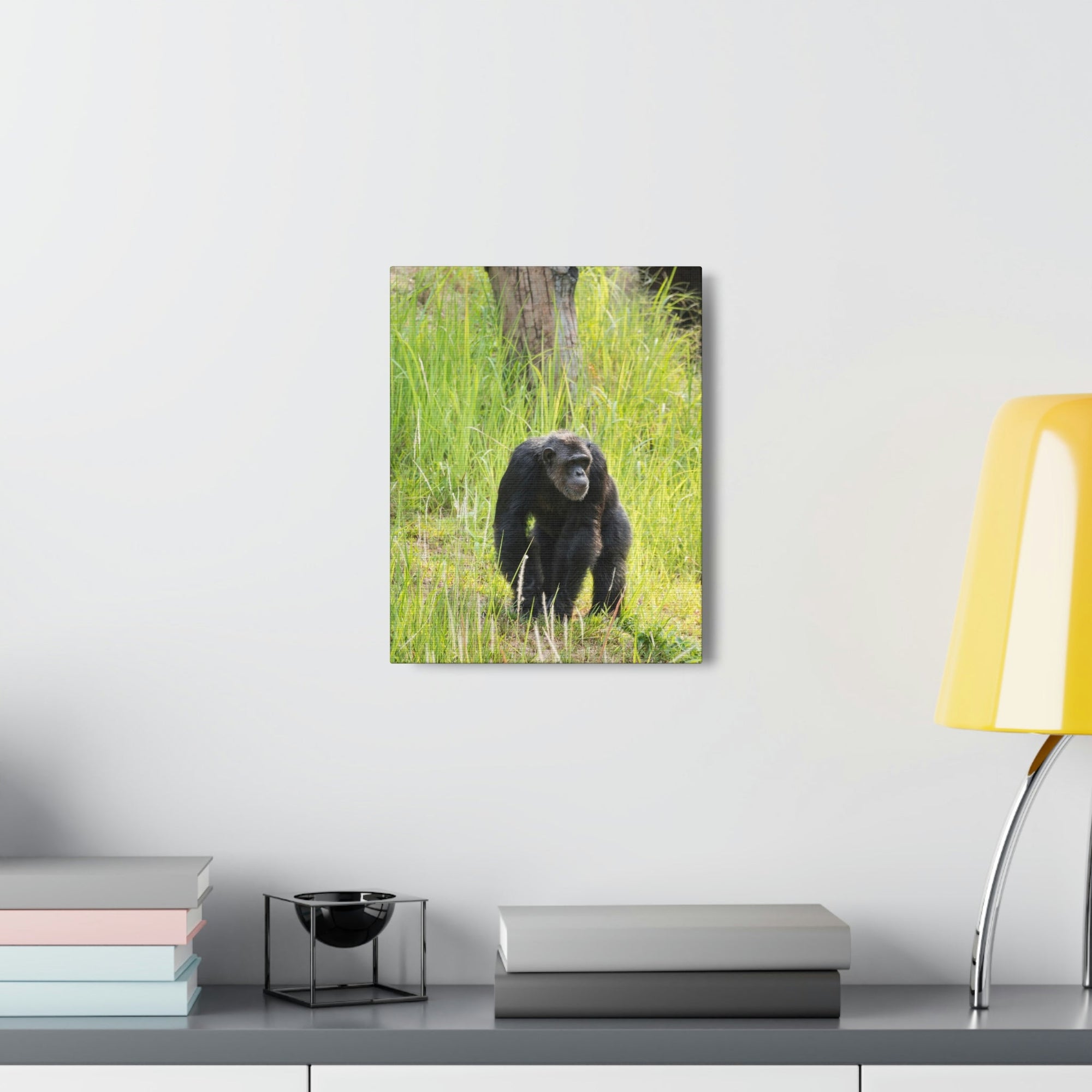 Scripture Walls Chimpanzee Hunting Chimpanzee on Hunt Print Animal Wall Art Wildlife Canvas Prints Wall Art Ready to Hang Unframed-Express Your Love Gifts