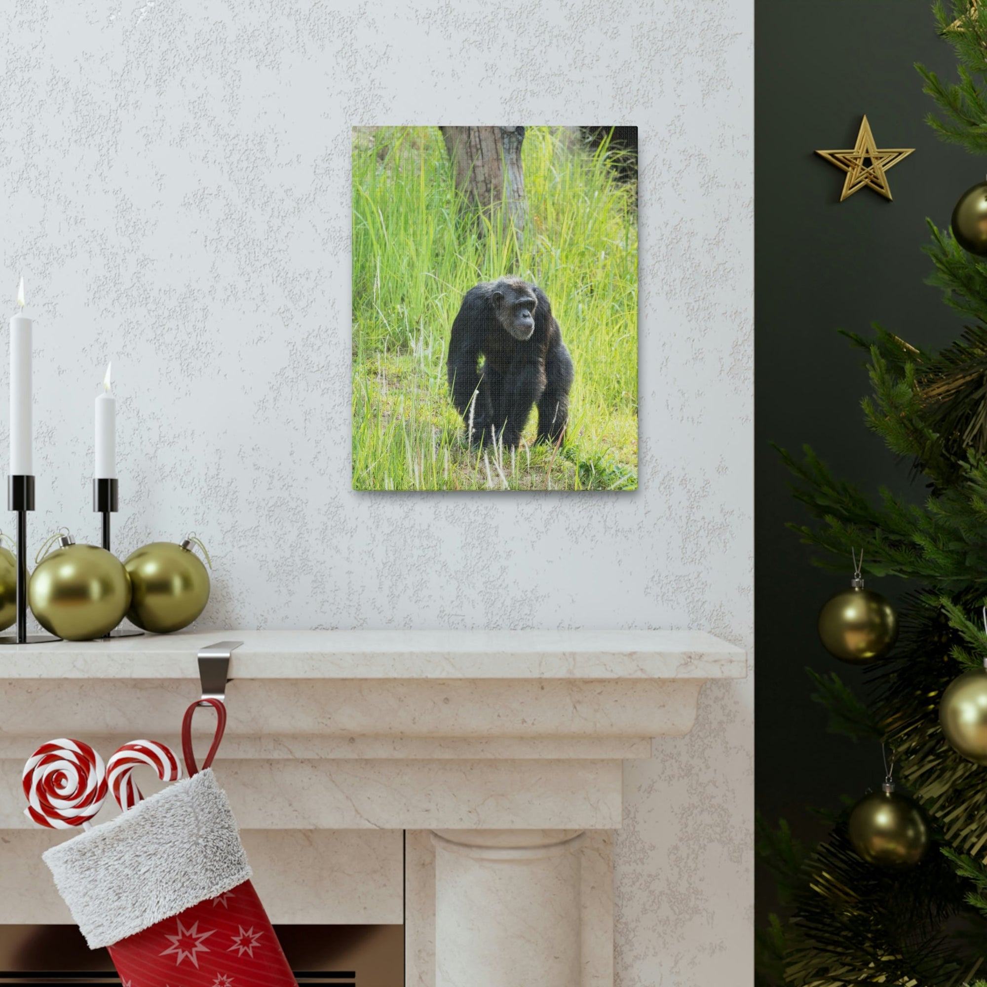 Scripture Walls Chimpanzee Hunting Chimpanzee on Hunt Print Animal Wall Art Wildlife Canvas Prints Wall Art Ready to Hang Unframed-Express Your Love Gifts