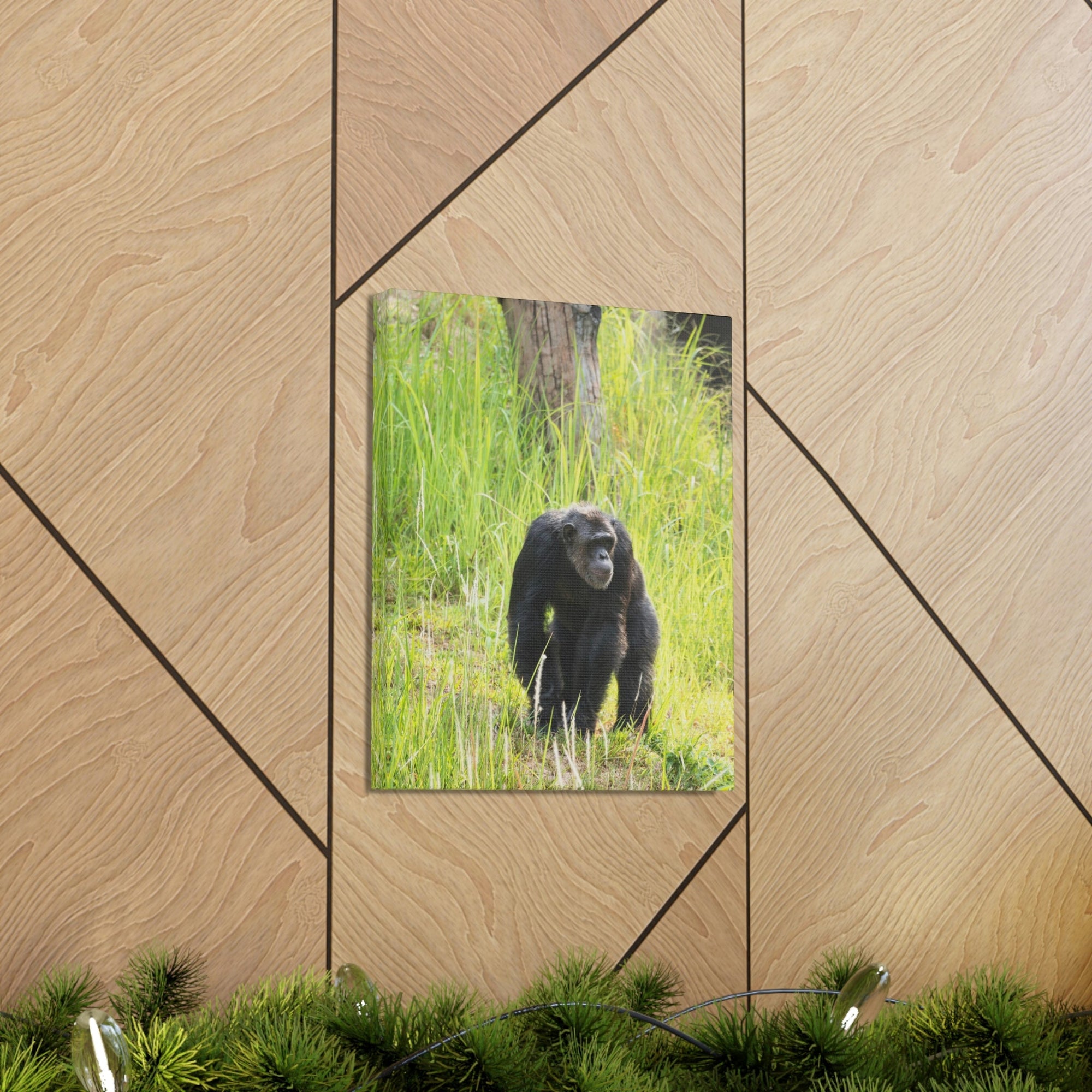 Scripture Walls Chimpanzee Hunting Chimpanzee on Hunt Print Animal Wall Art Wildlife Canvas Prints Wall Art Ready to Hang Unframed-Express Your Love Gifts