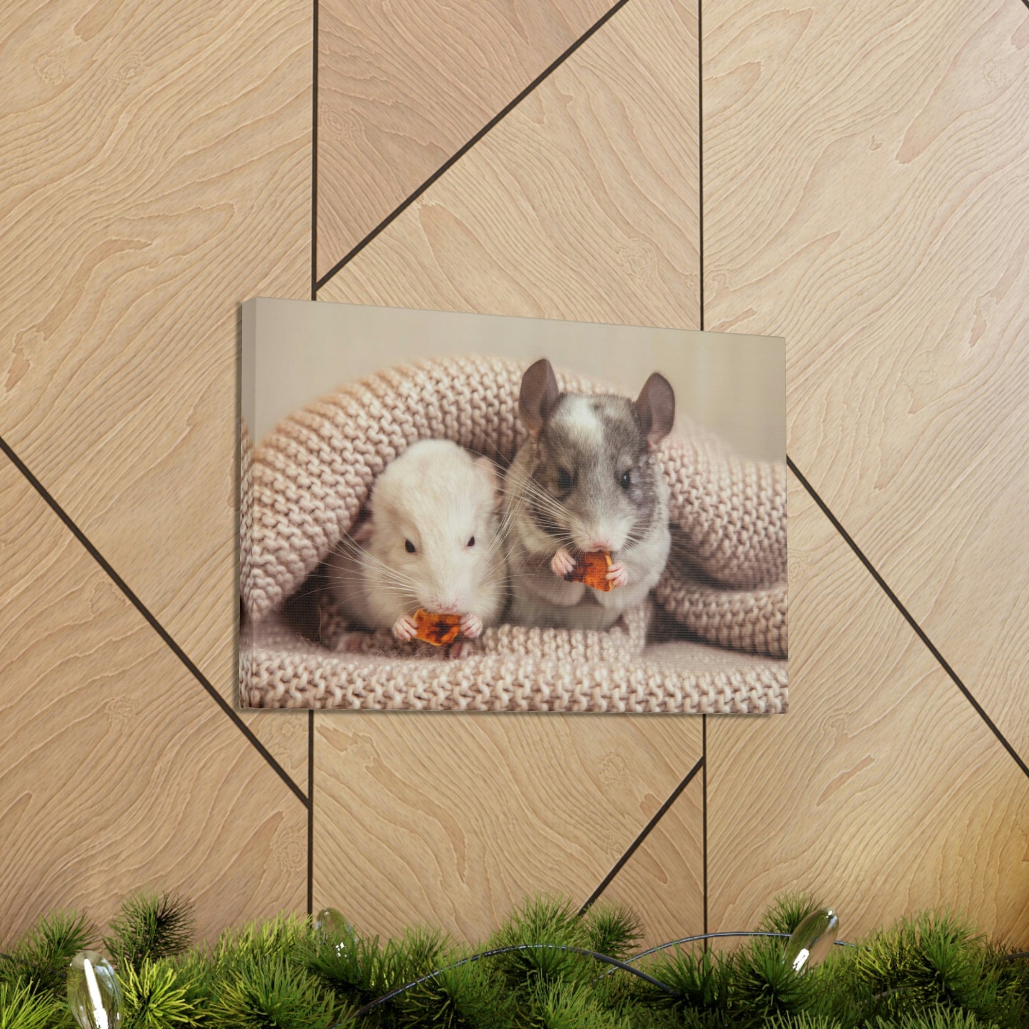 Scripture Walls Chinchilla Couple Chinchilla Troop Print Animal Wall Art Wildlife Canvas Prints Wall Art Ready to Hang Unframed-Express Your Love Gifts