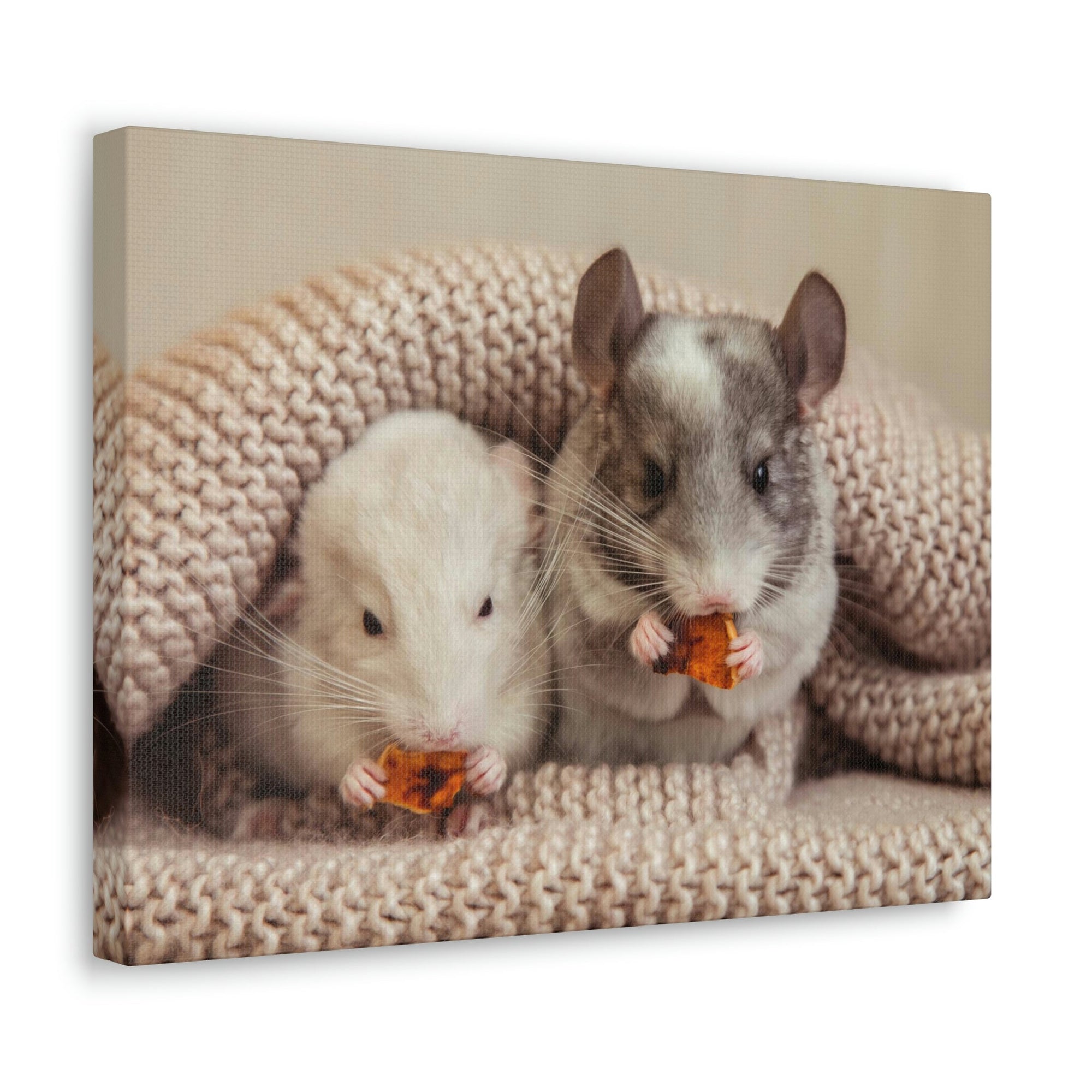 Scripture Walls Chinchilla Couple Chinchilla Troop Print Animal Wall Art Wildlife Canvas Prints Wall Art Ready to Hang Unframed-Express Your Love Gifts