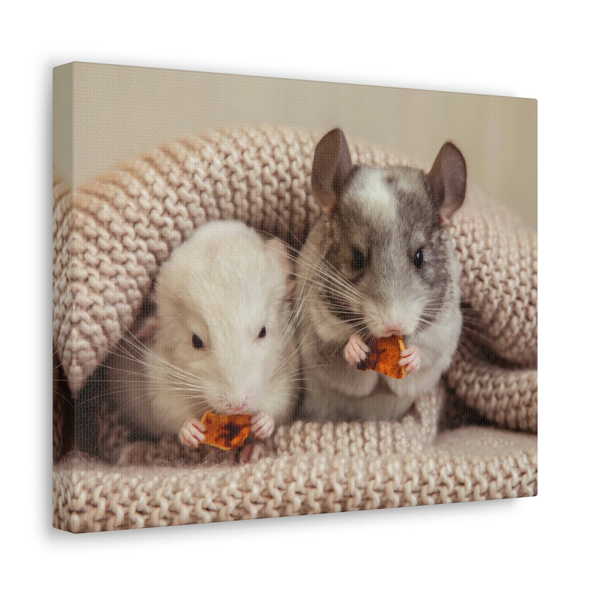 Scripture Walls Chinchilla Couple Chinchilla Troop Print Animal Wall Art Wildlife Canvas Prints Wall Art Ready to Hang Unframed-Express Your Love Gifts