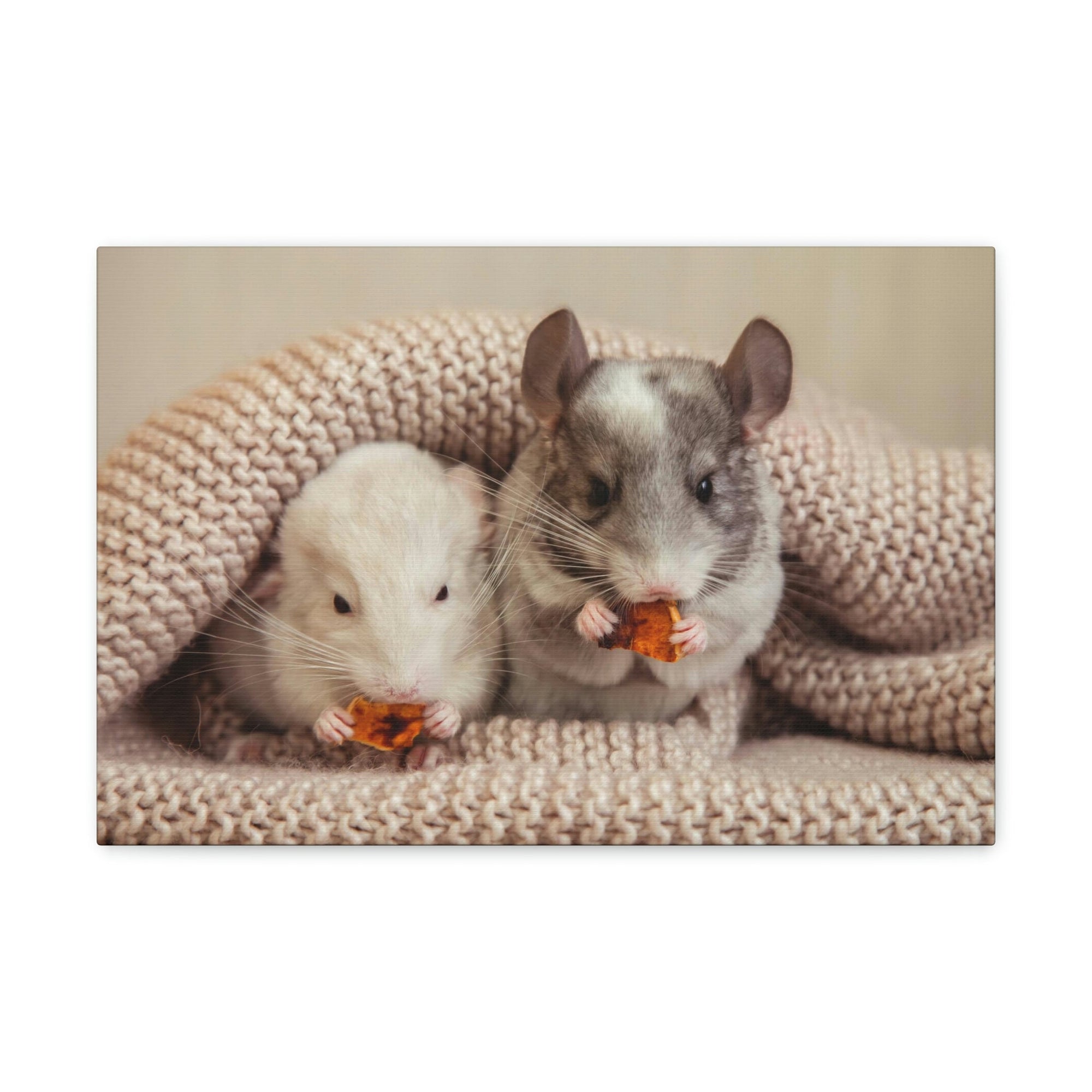 Scripture Walls Chinchilla Couple Chinchilla Troop Print Animal Wall Art Wildlife Canvas Prints Wall Art Ready to Hang Unframed-Express Your Love Gifts