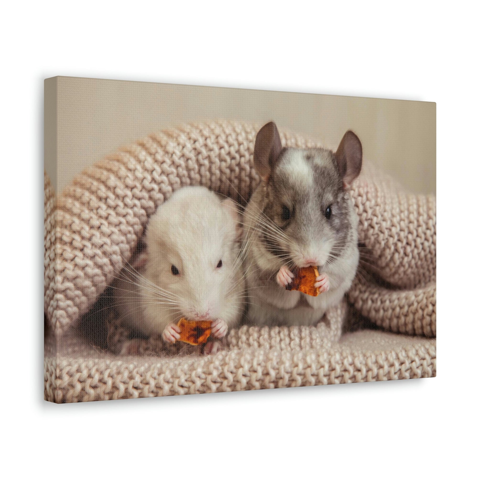 Scripture Walls Chinchilla Couple Chinchilla Troop Print Animal Wall Art Wildlife Canvas Prints Wall Art Ready to Hang Unframed-Express Your Love Gifts