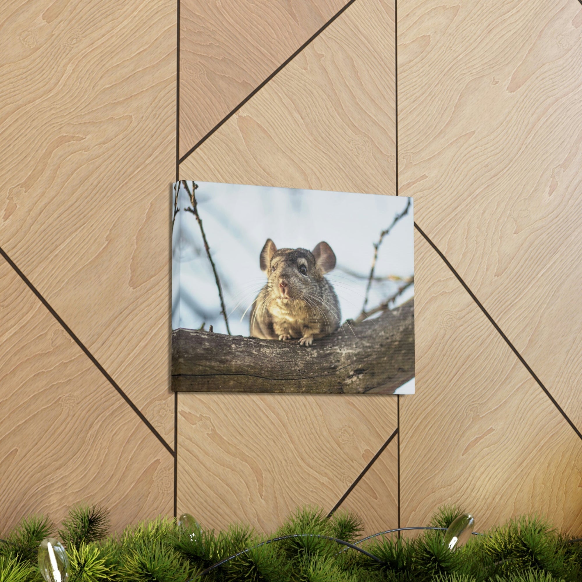 Scripture Walls Chinchilla Hunting Chinchilla on Hunt Print Animal Wall Art Wildlife Canvas Prints Wall Art Ready to Hang Unframed-Express Your Love Gifts