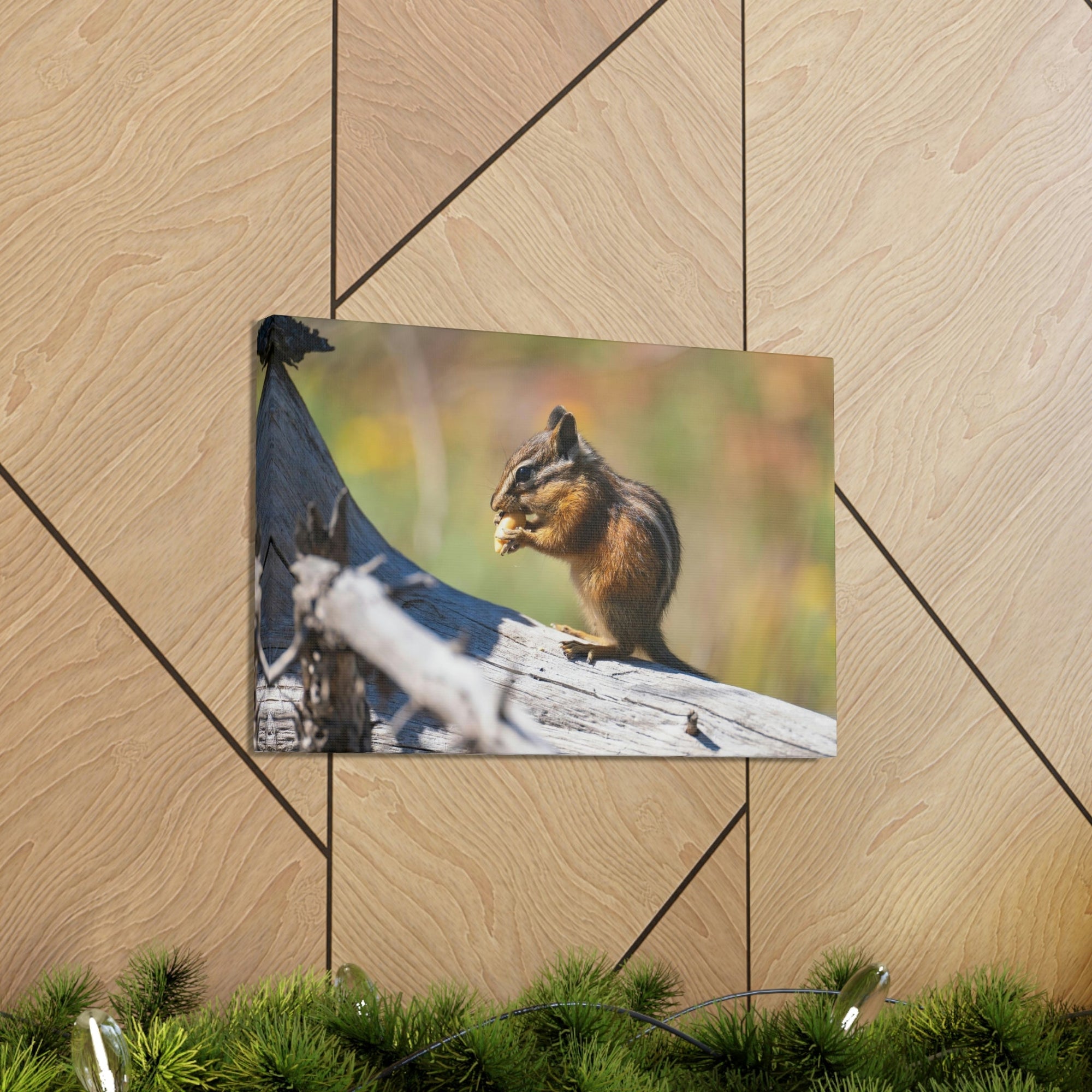 Scripture Walls Chipmunk Hunting Chipmunk on Hunt Print Animal Wall Art Wildlife Canvas Prints Wall Art Ready to Hang Unframed-Express Your Love Gifts