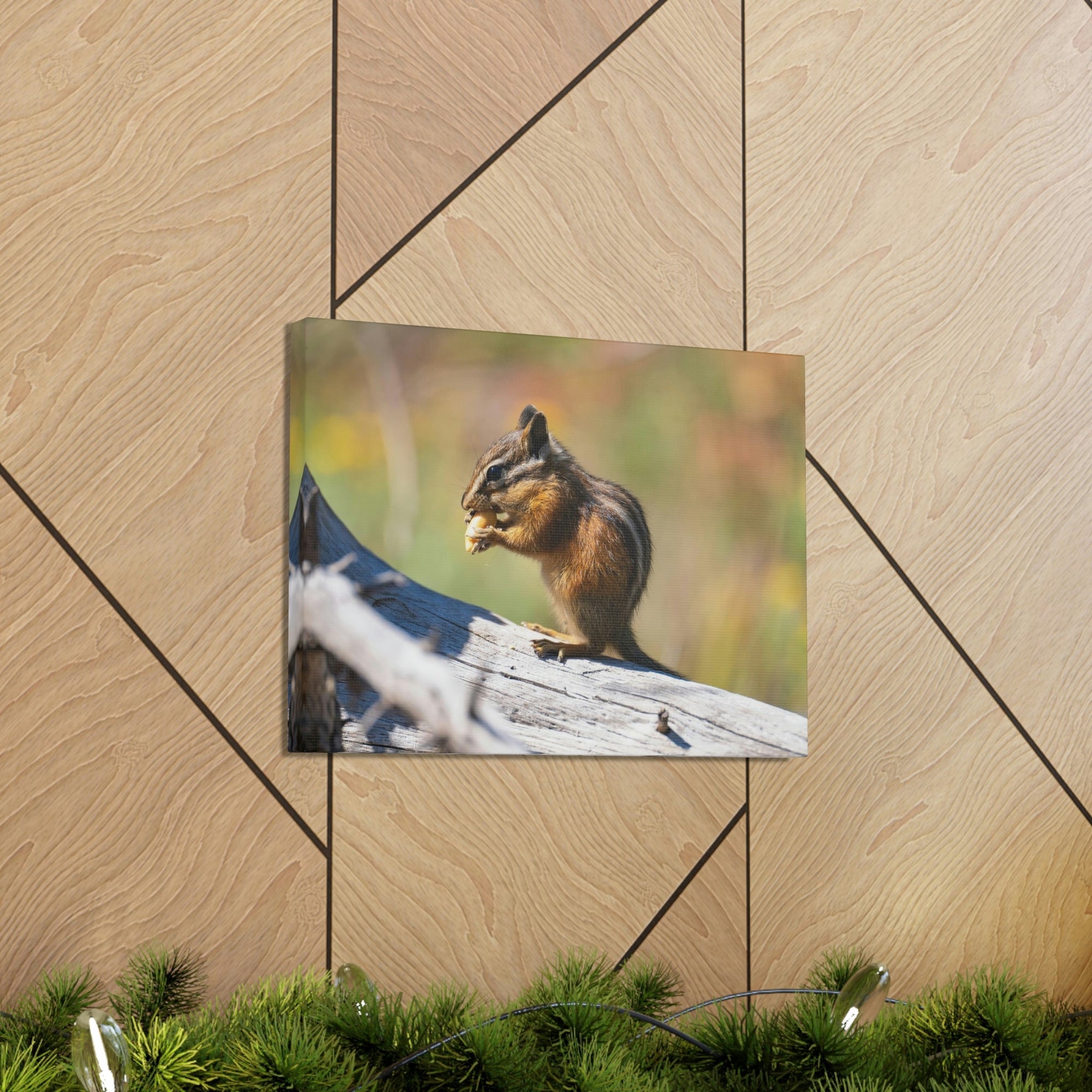 Scripture Walls Chipmunk Hunting Chipmunk on Hunt Print Animal Wall Art Wildlife Canvas Prints Wall Art Ready to Hang Unframed-Express Your Love Gifts