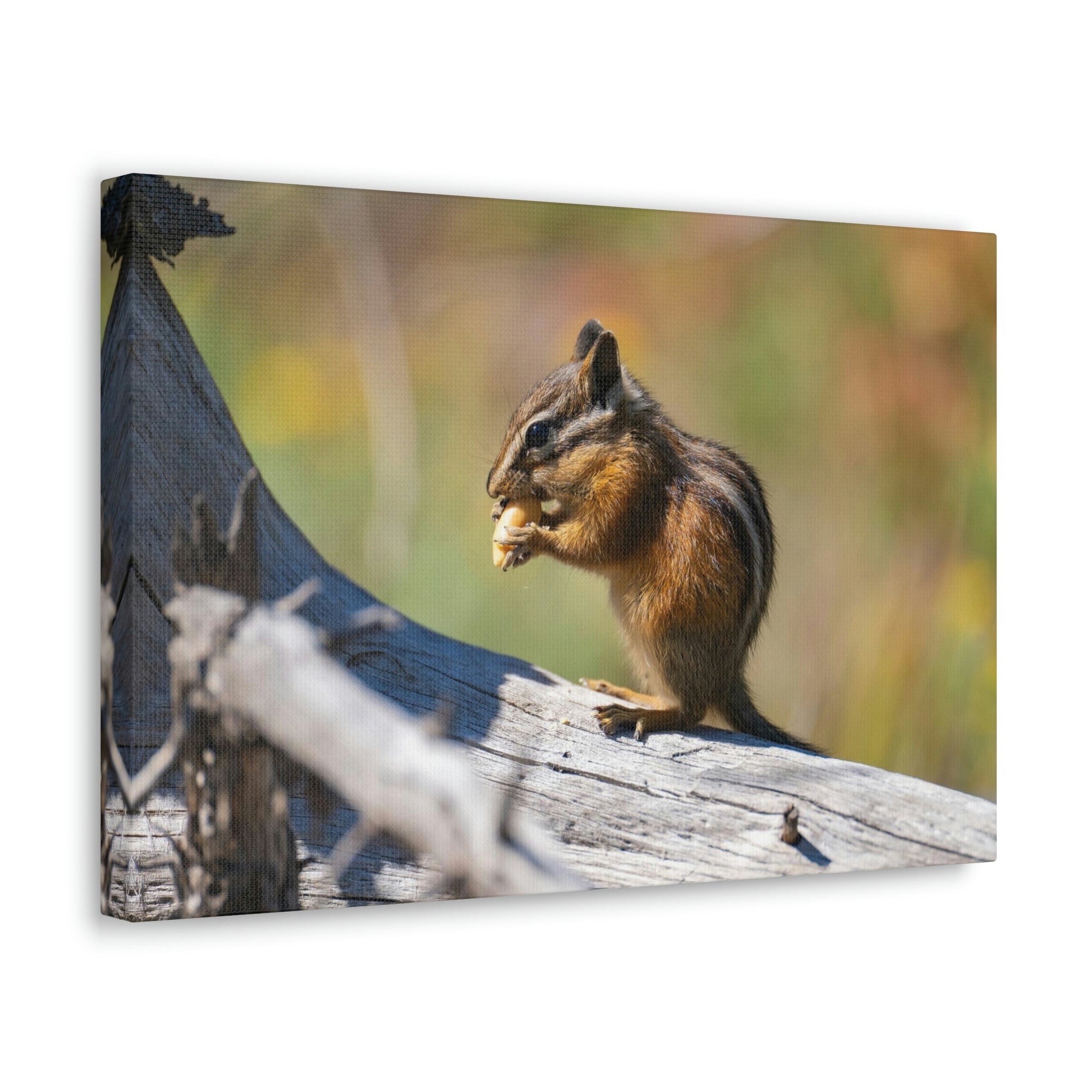 Scripture Walls Chipmunk Hunting Chipmunk on Hunt Print Animal Wall Art Wildlife Canvas Prints Wall Art Ready to Hang Unframed-Express Your Love Gifts