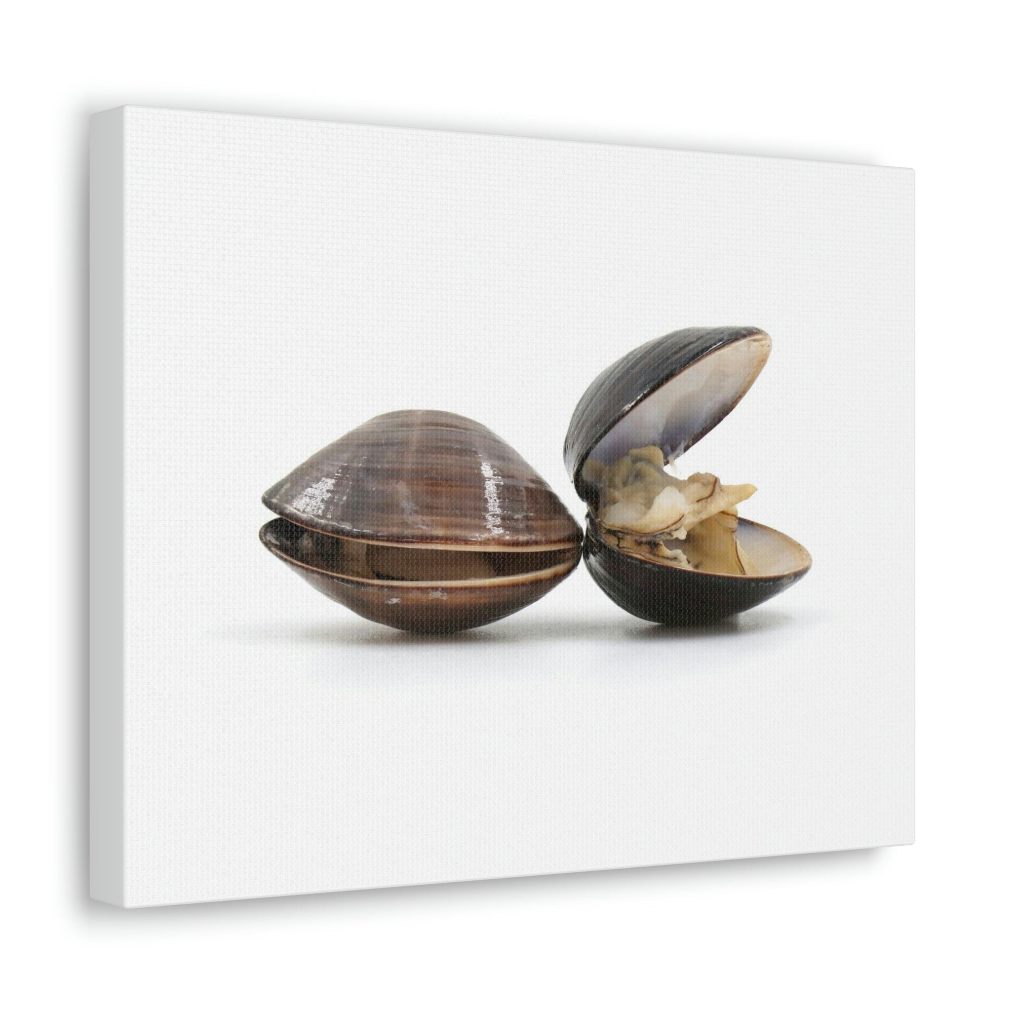 Scripture Walls Clam Couple Clam Troop Print Animal Wall Art Wildlife Canvas Prints Wall Art Ready to Hang Unframed-Express Your Love Gifts