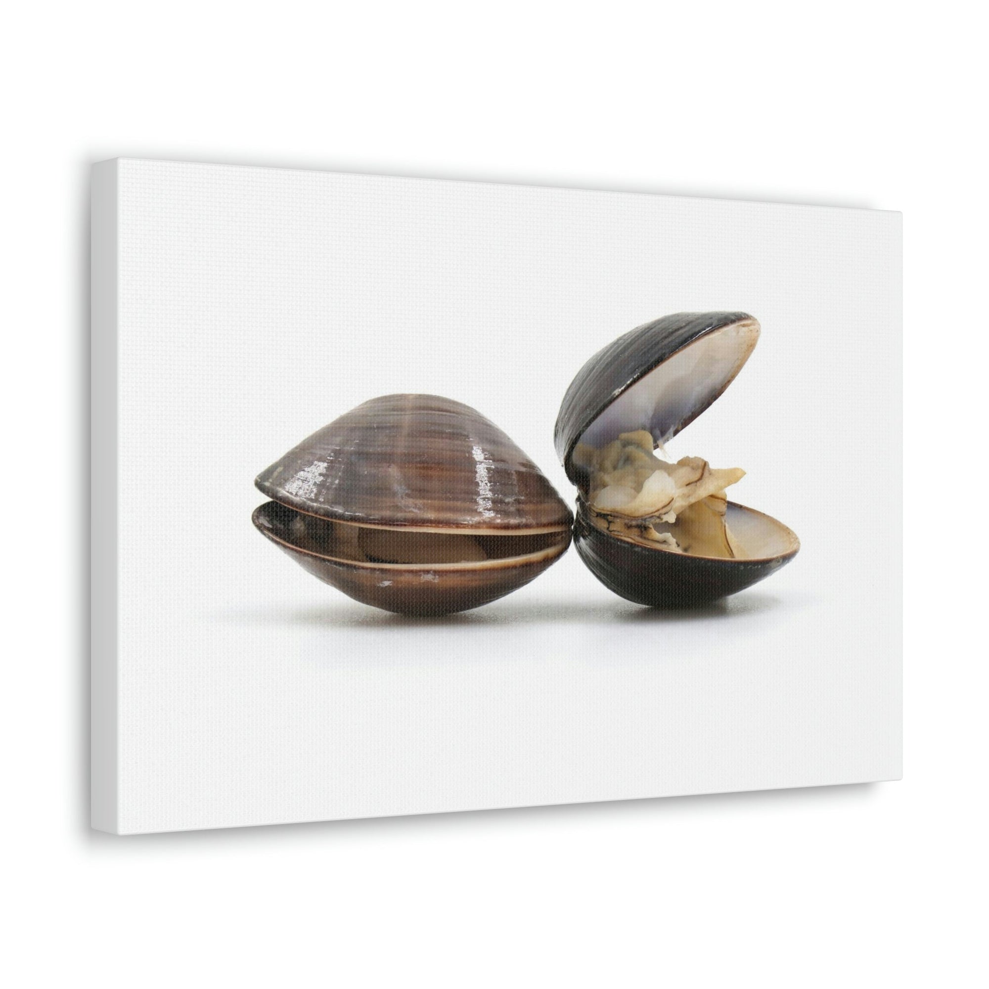 Scripture Walls Clam Couple Clam Troop Print Animal Wall Art Wildlife Canvas Prints Wall Art Ready to Hang Unframed-Express Your Love Gifts