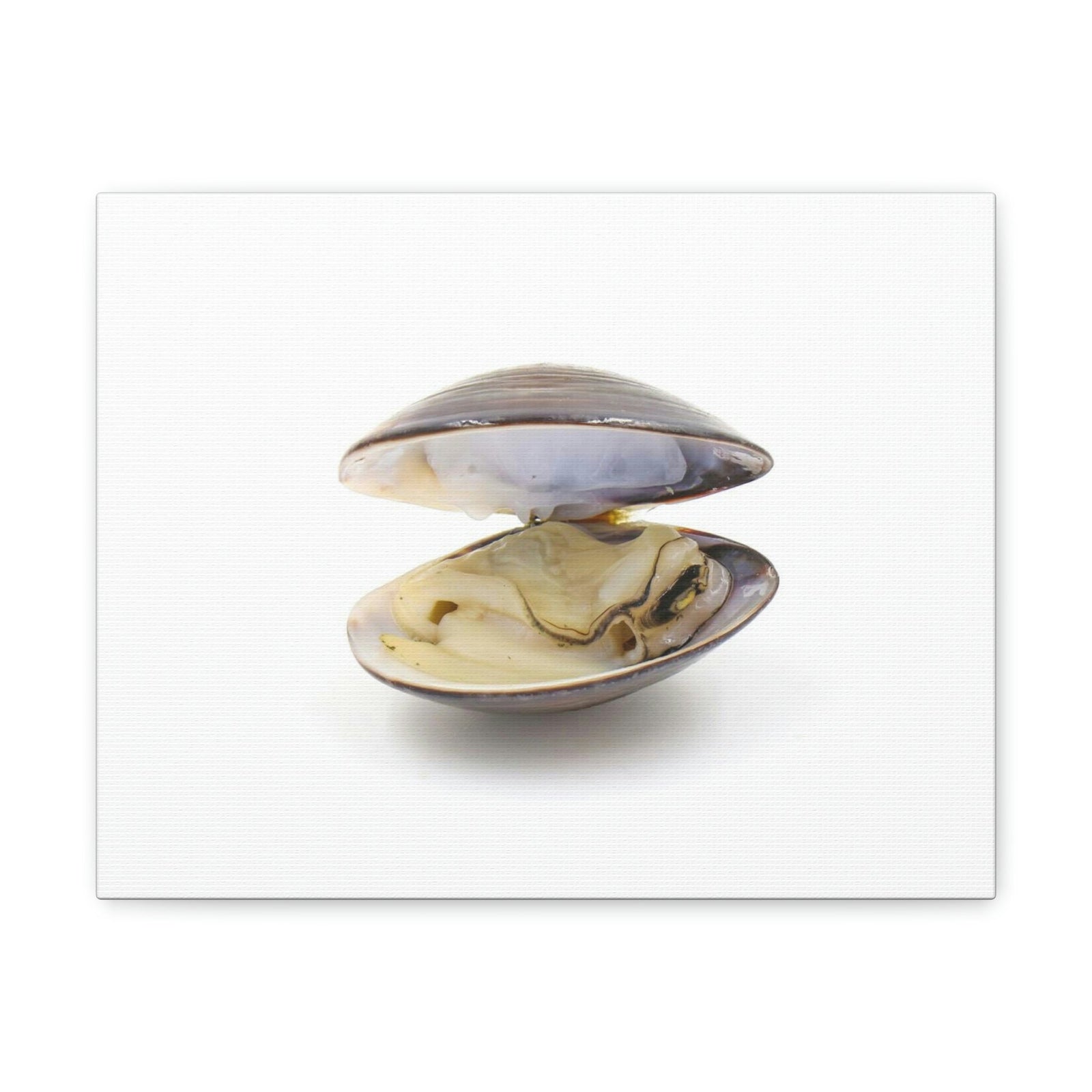 Scripture Walls Clam Hunting Clam on Hunt Print Animal Wall Art Wildlife Canvas Prints Wall Art Ready to Hang Unframed-Express Your Love Gifts