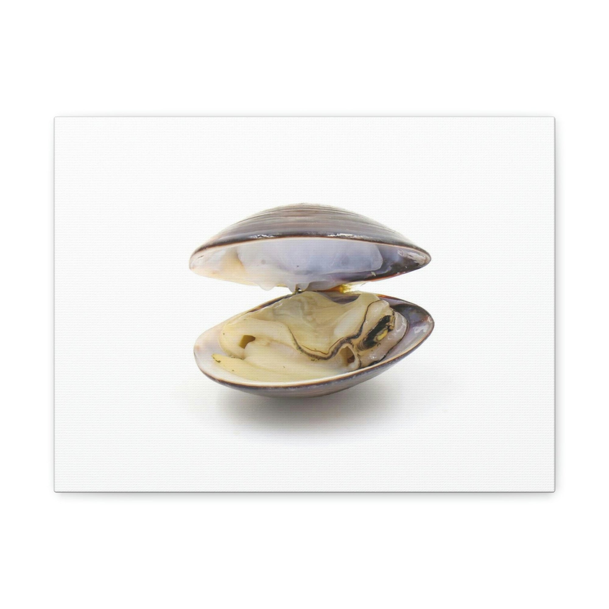 Scripture Walls Clam Hunting Clam on Hunt Print Animal Wall Art Wildlife Canvas Prints Wall Art Ready to Hang Unframed-Express Your Love Gifts