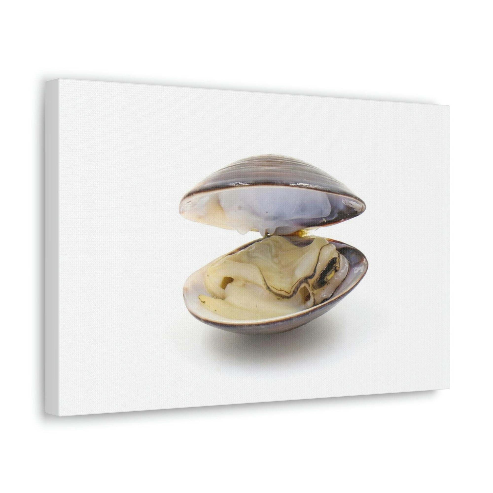 Scripture Walls Clam Hunting Clam on Hunt Print Animal Wall Art Wildlife Canvas Prints Wall Art Ready to Hang Unframed-Express Your Love Gifts