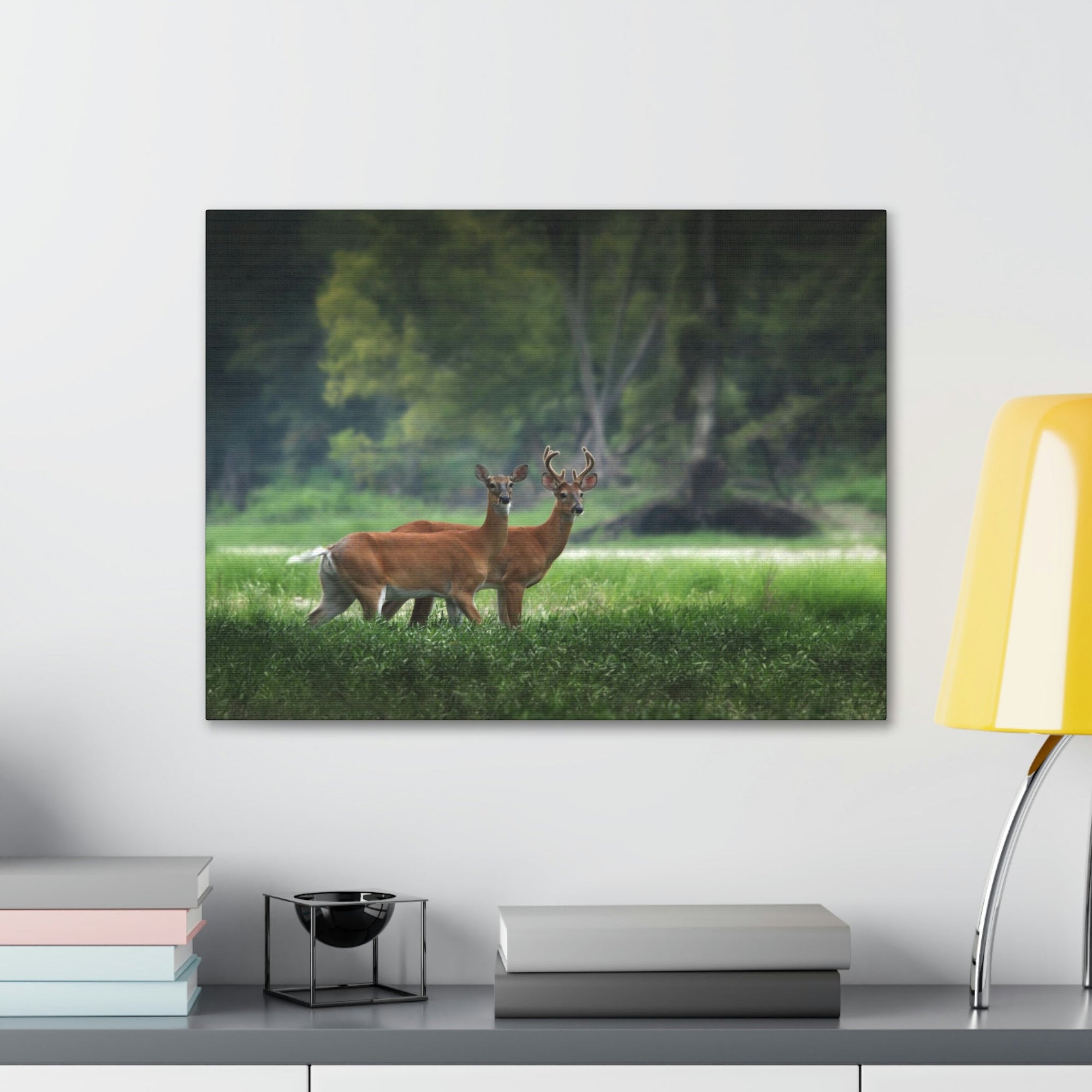 Scripture Walls Close-Up of Couple Red Deer in Autumn Print Animal Wall Art Wildlife Canvas Prints Wall Art Ready to Hang Unframed-Express Your Love Gifts