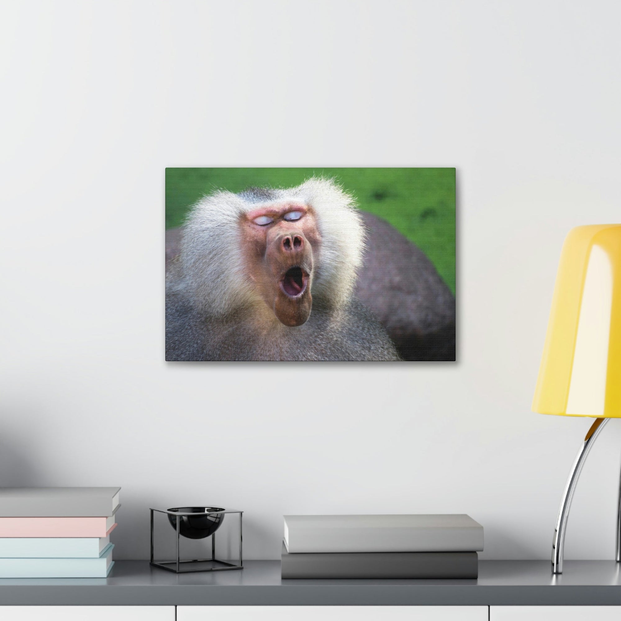 Close Up of Funny Baboon Outside Wall Art Ready to Hang Unframed-Express Your Love Gifts