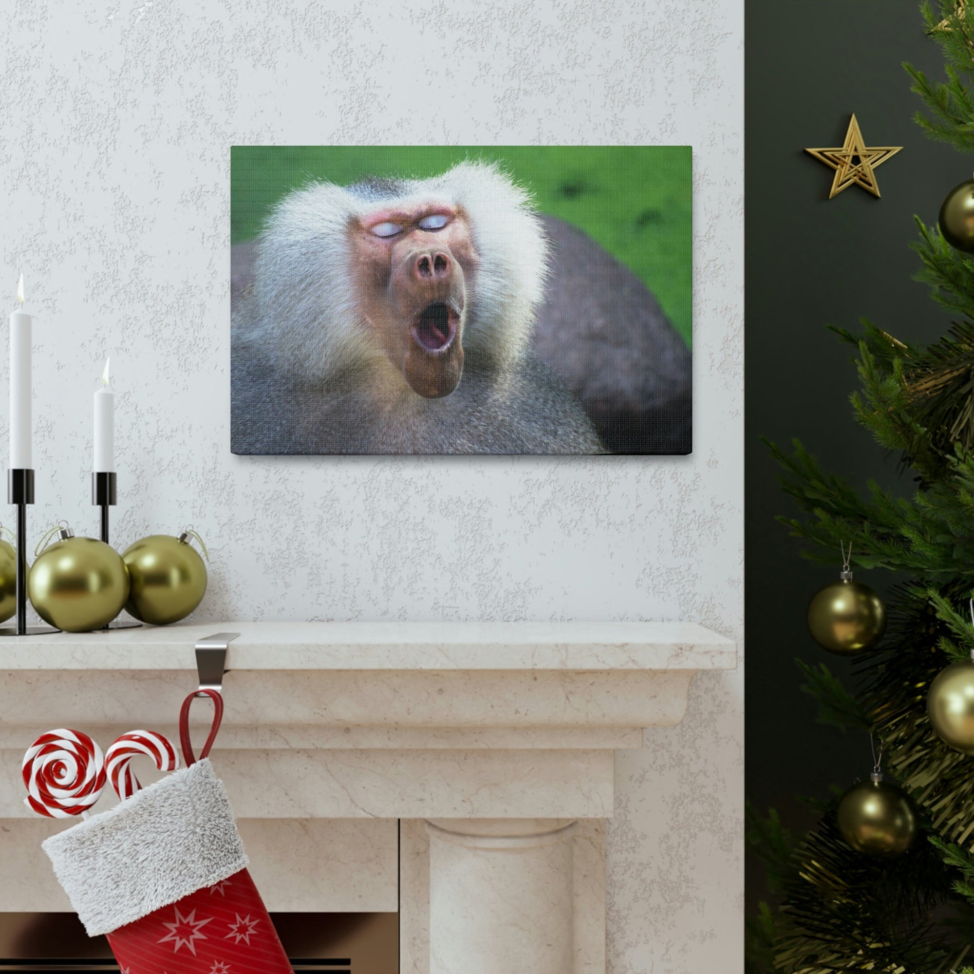 Close Up of Funny Baboon Outside Wall Art Ready to Hang Unframed-Express Your Love Gifts