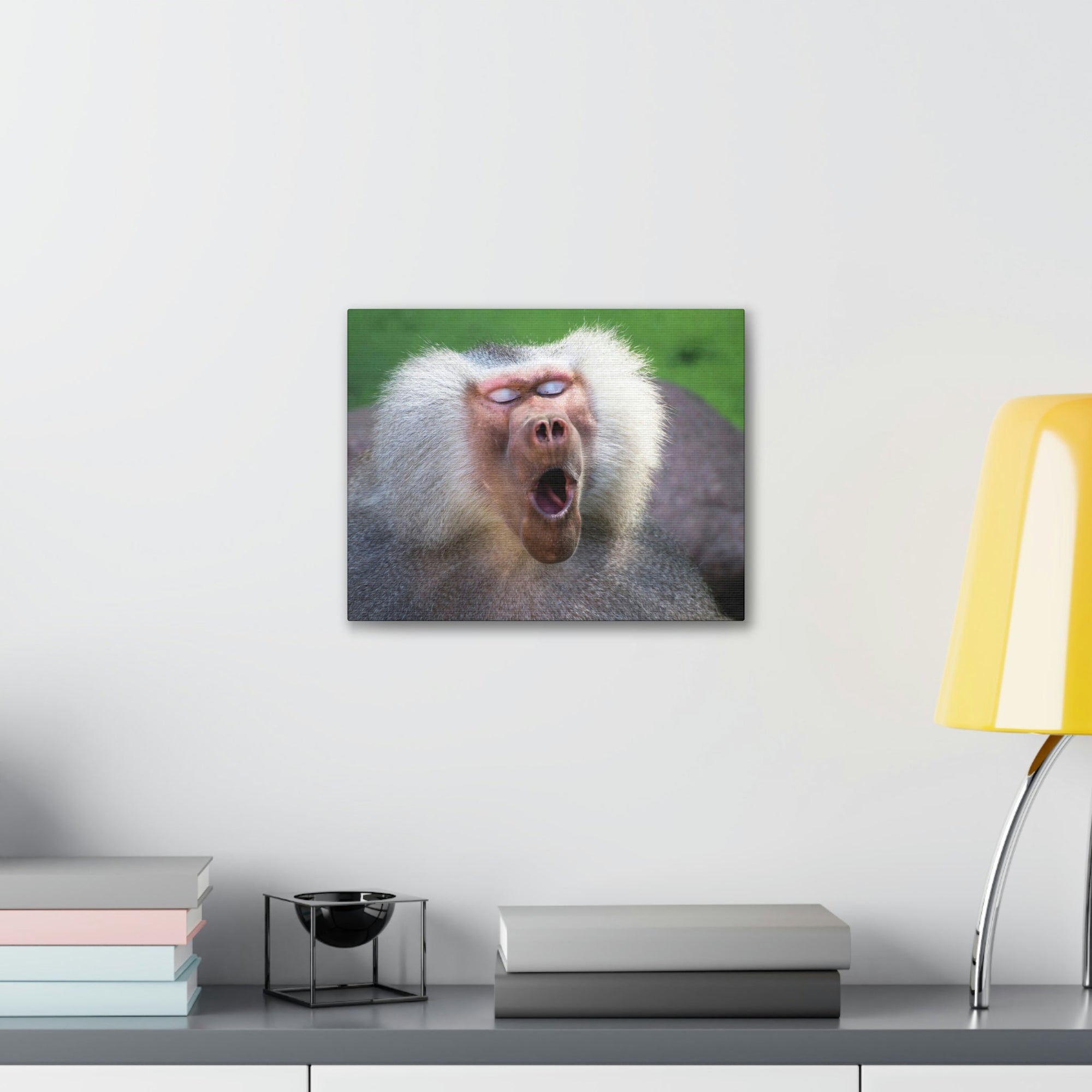 Close Up of Funny Baboon Outside Wall Art Ready to Hang Unframed-Express Your Love Gifts