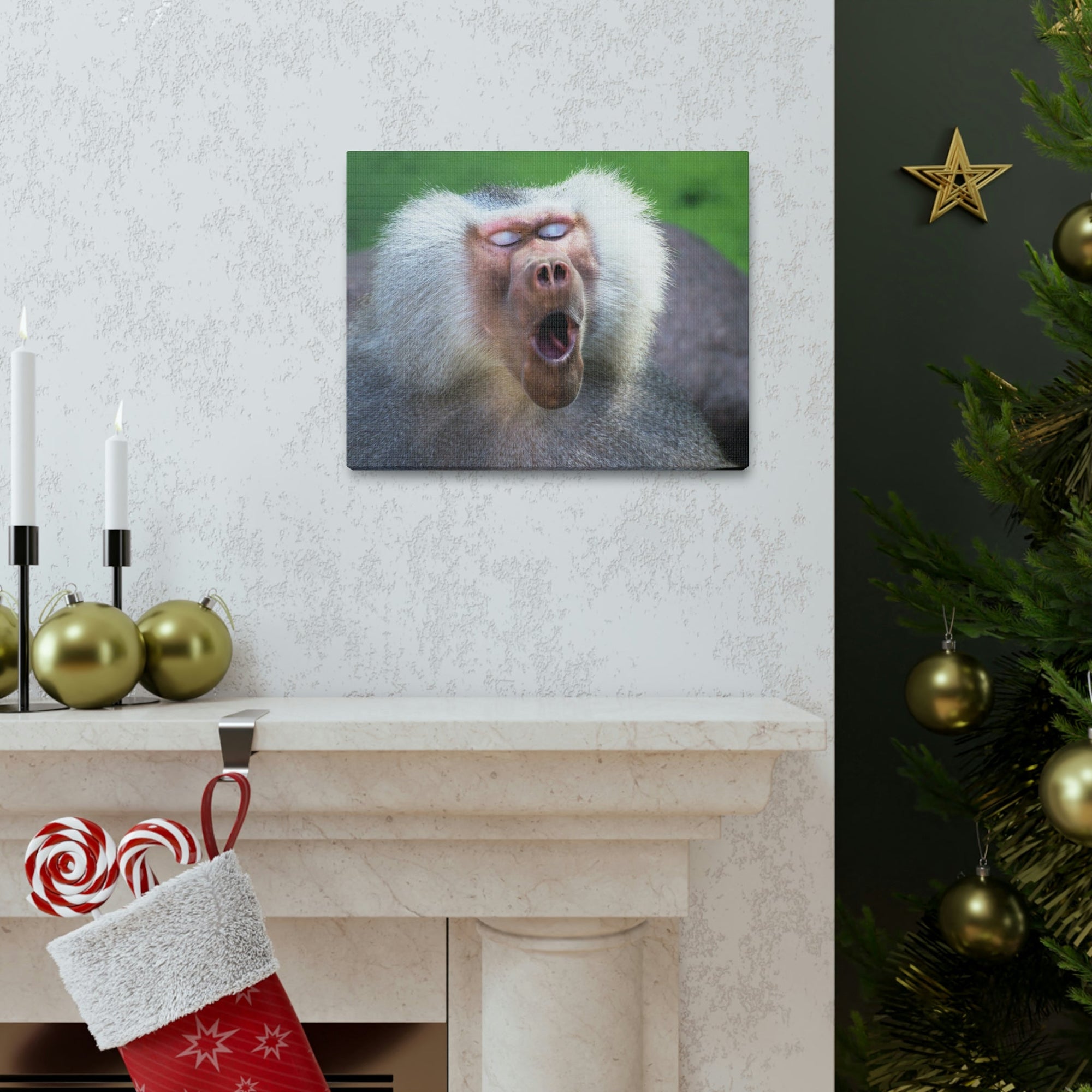 Close Up of Funny Baboon Outside Wall Art Ready to Hang Unframed-Express Your Love Gifts