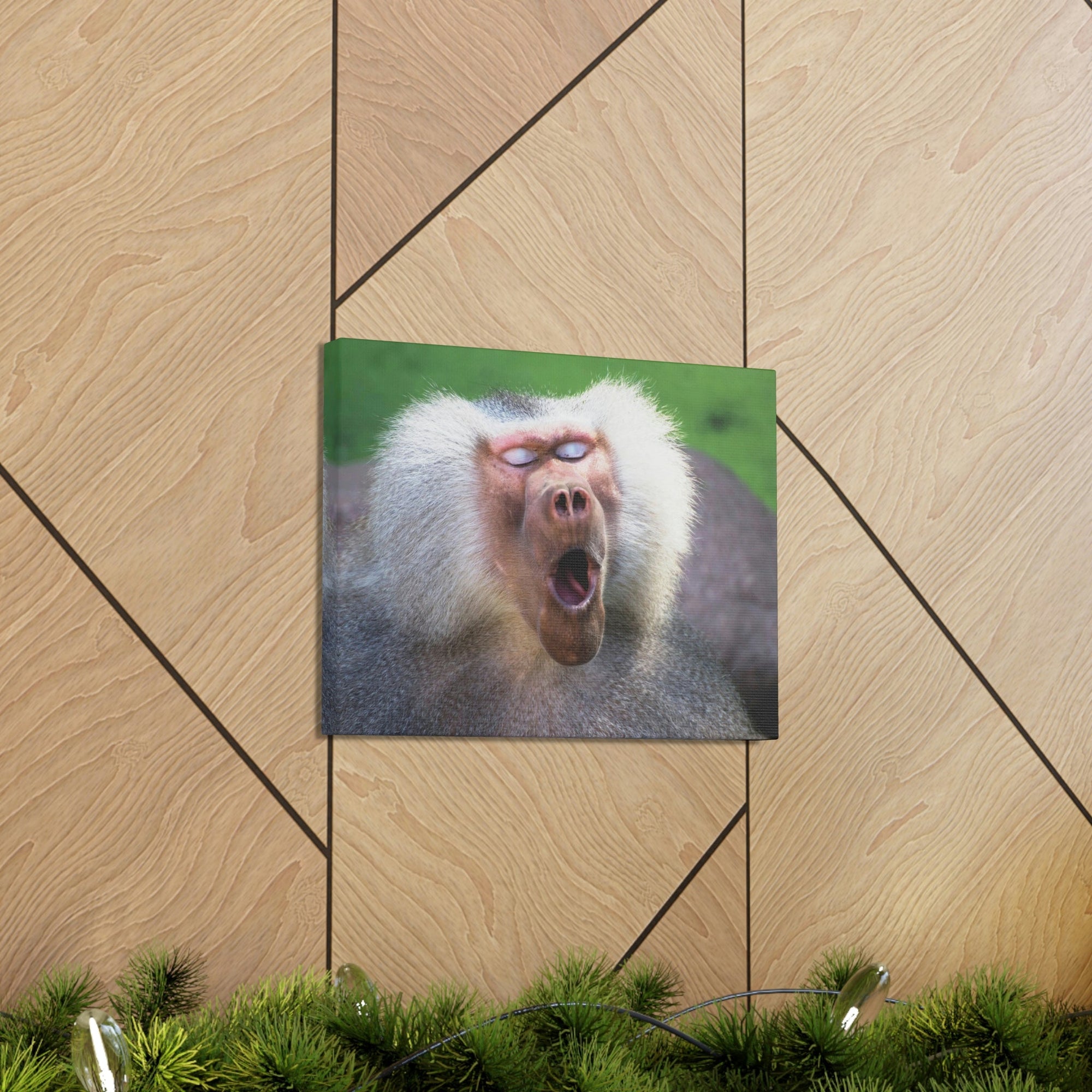 Close Up of Funny Baboon Outside Wall Art Ready to Hang Unframed-Express Your Love Gifts