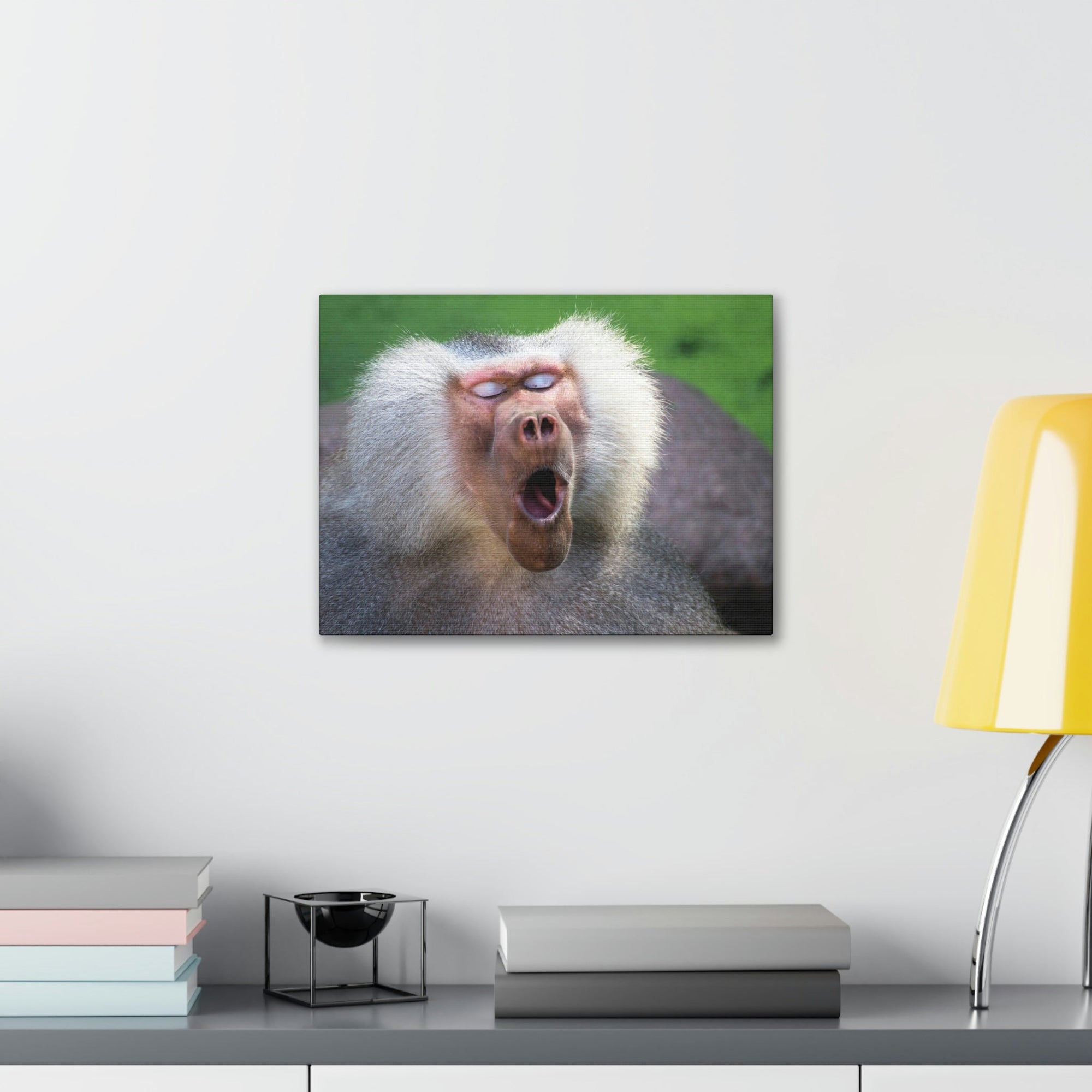 Close Up of Funny Baboon Outside Wall Art Ready to Hang Unframed-Express Your Love Gifts